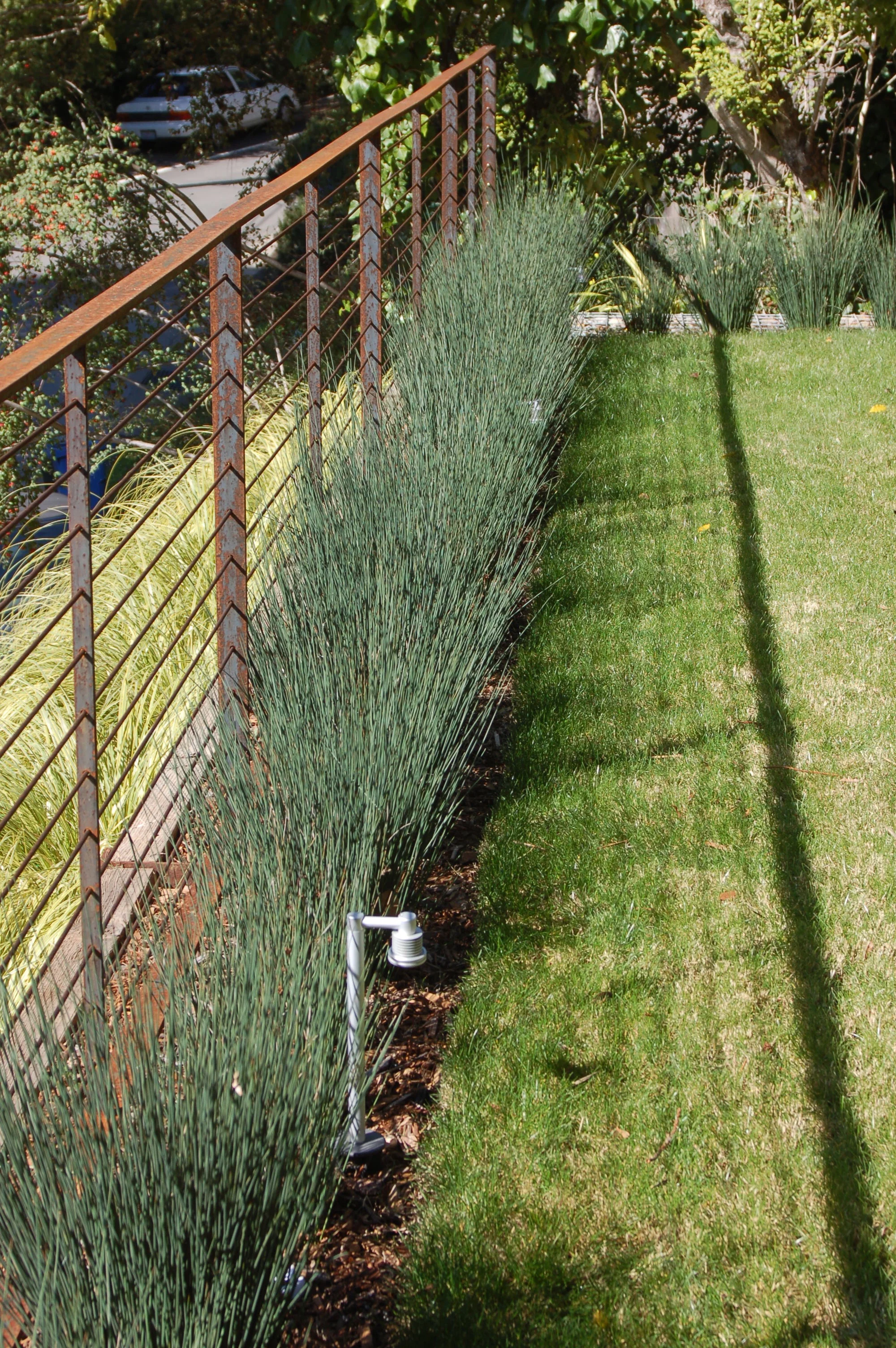 Mill-Valley-Modern-Green (6).jpg