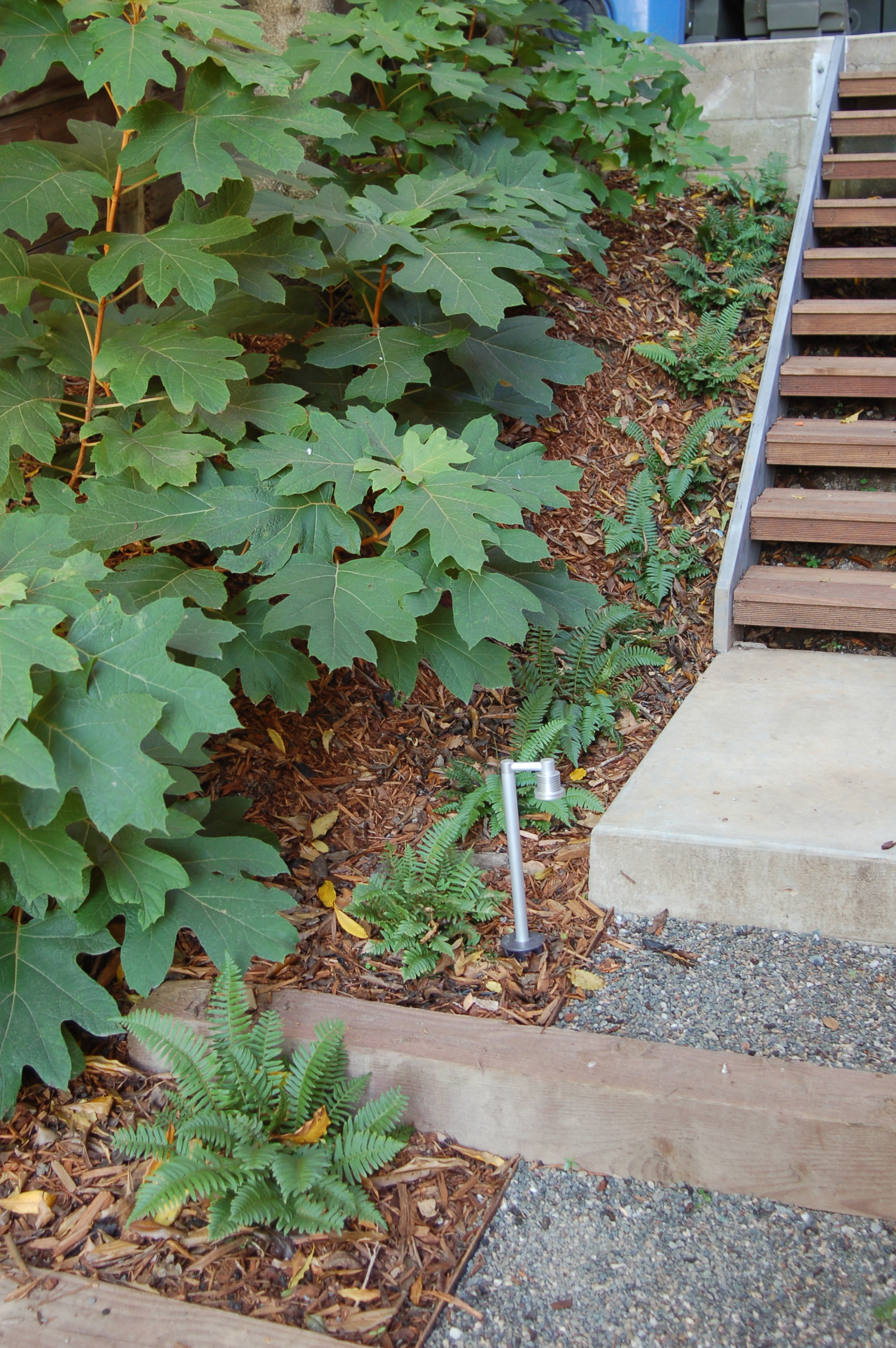 Mill-Valley-Modern-Green (9).jpg