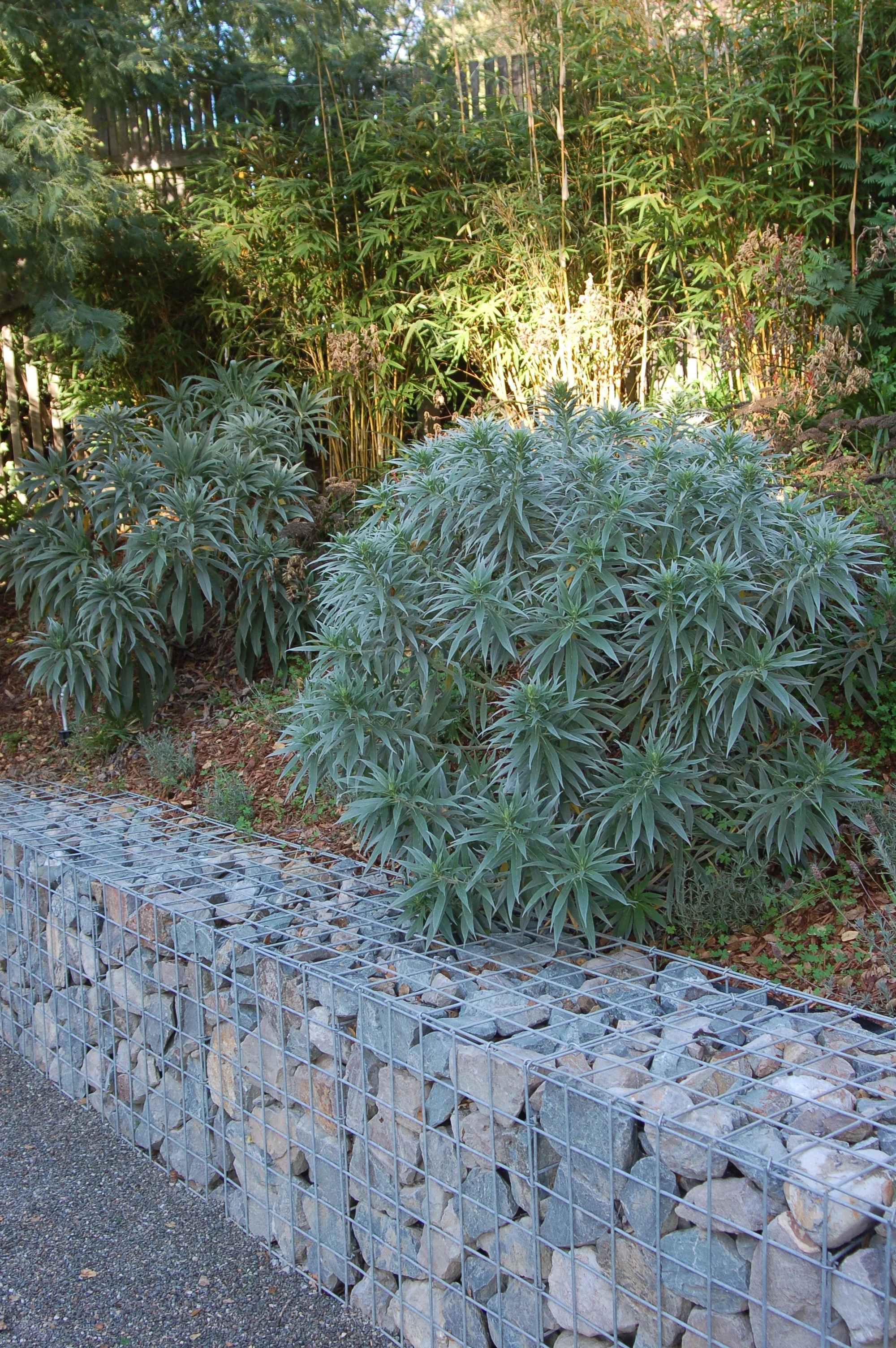 Mill-Valley-Modern-Green (10).jpg