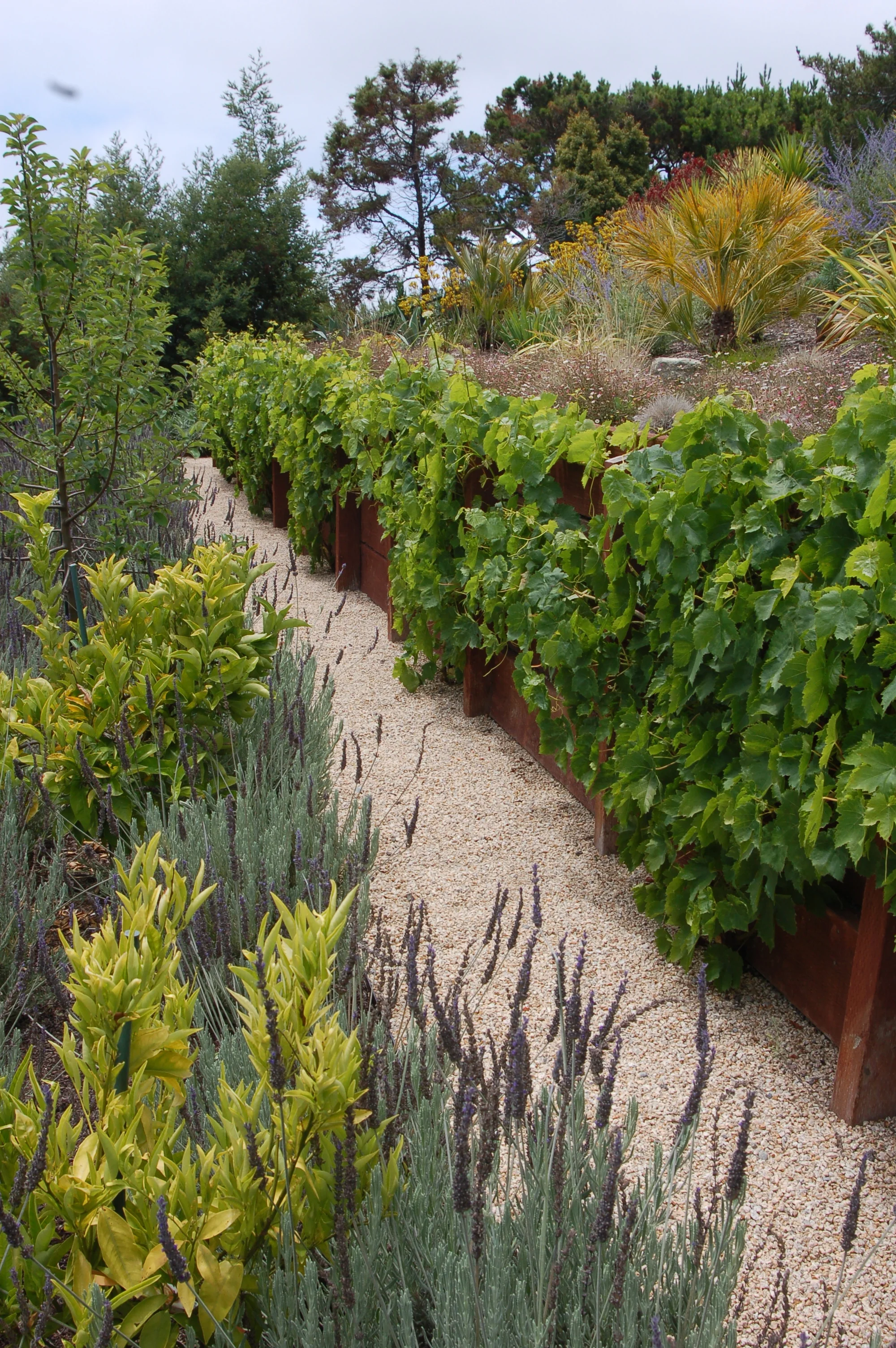 GARDEN TERRACES.jpg