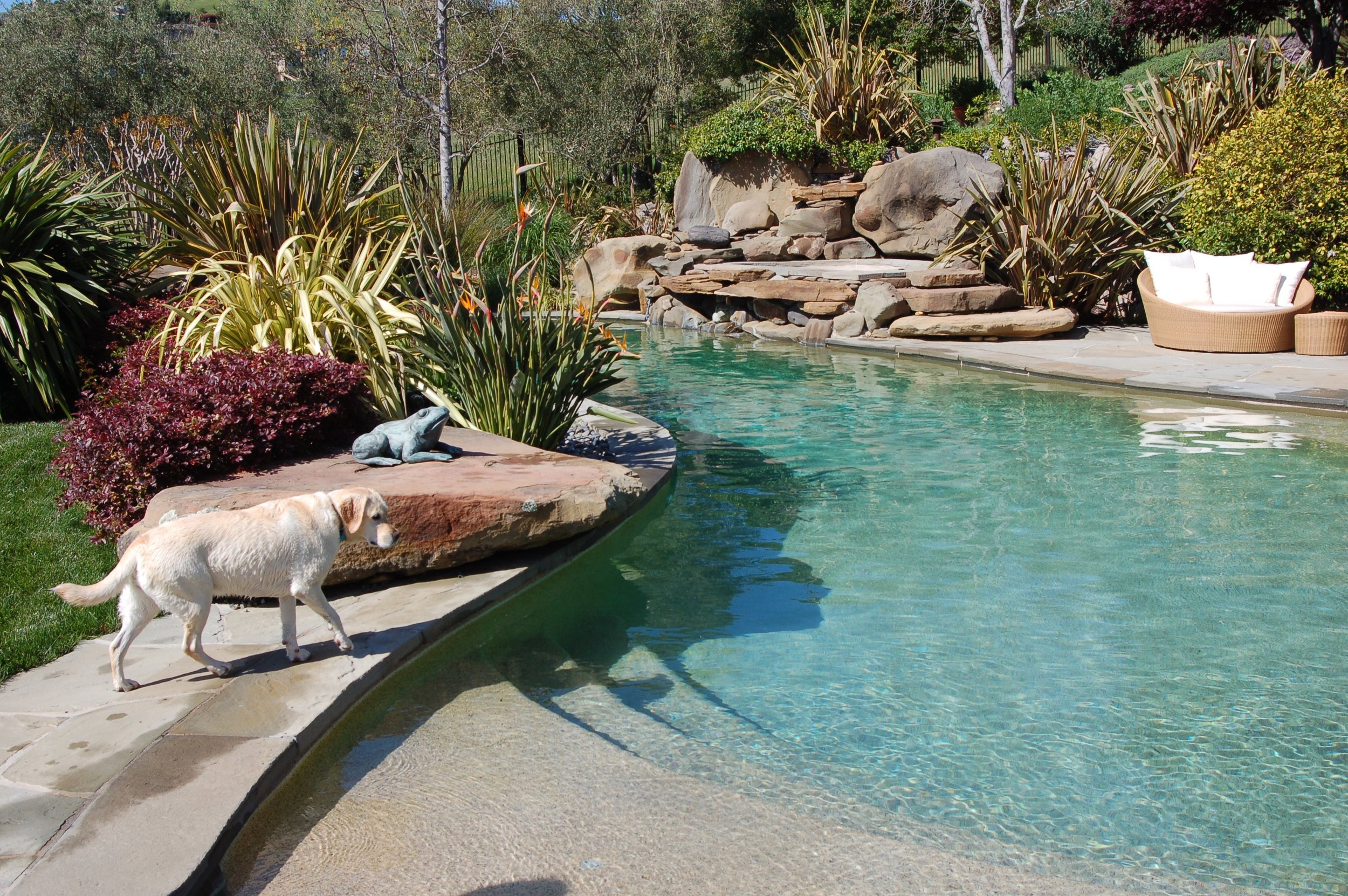 Beach-Entry-Pool (3).jpg