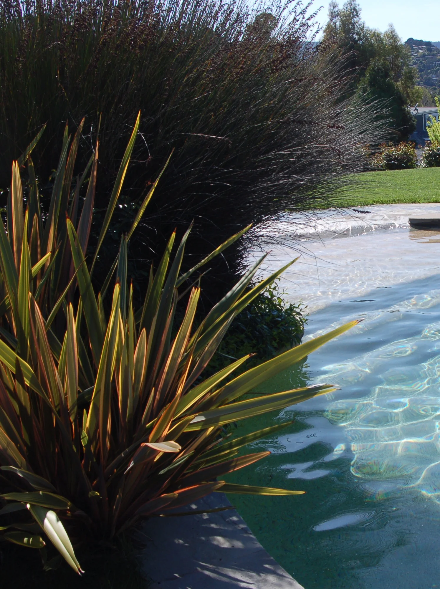 Beach Entry Pool