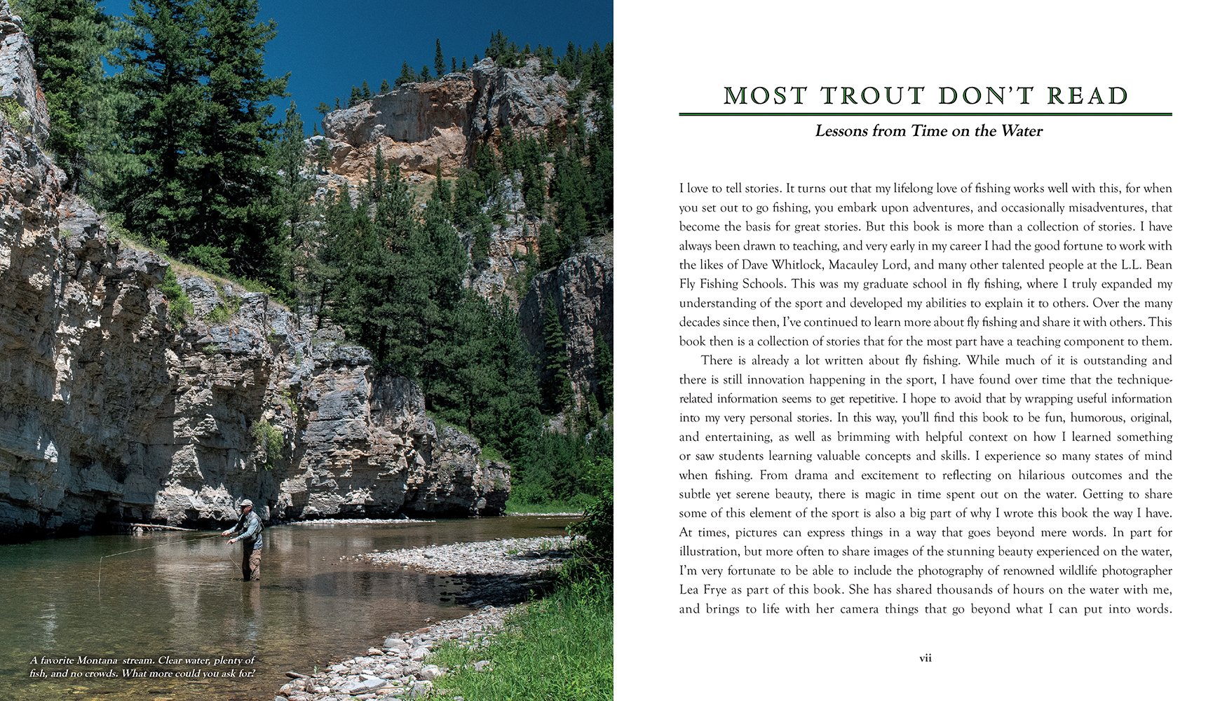 Most Trout Dont Read_INTERIOR SPREAD 1_1000px.jpg