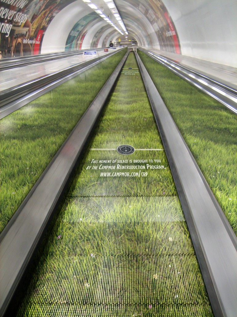 Moving-Walkway-768x1024.jpg