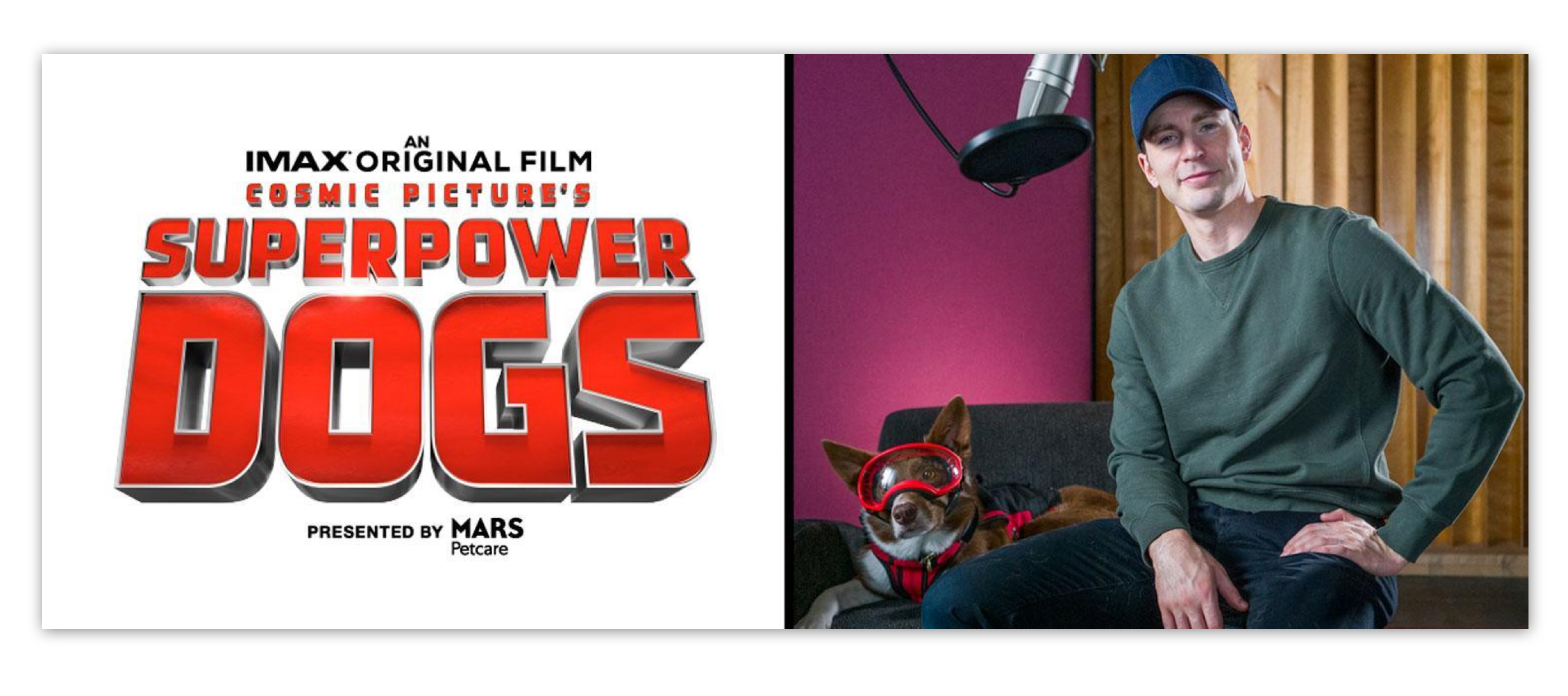 mars global petcare