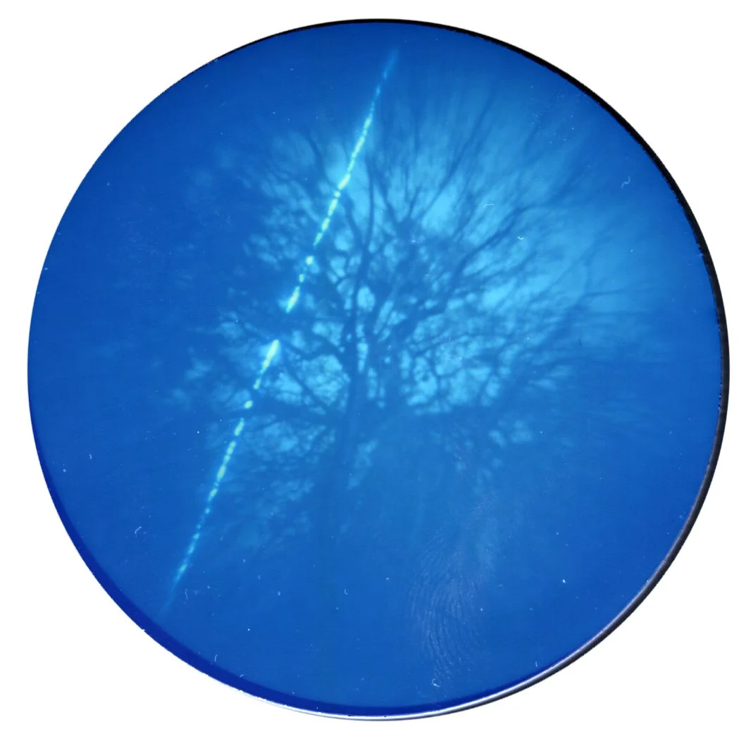 Tree 24 hour solargraph