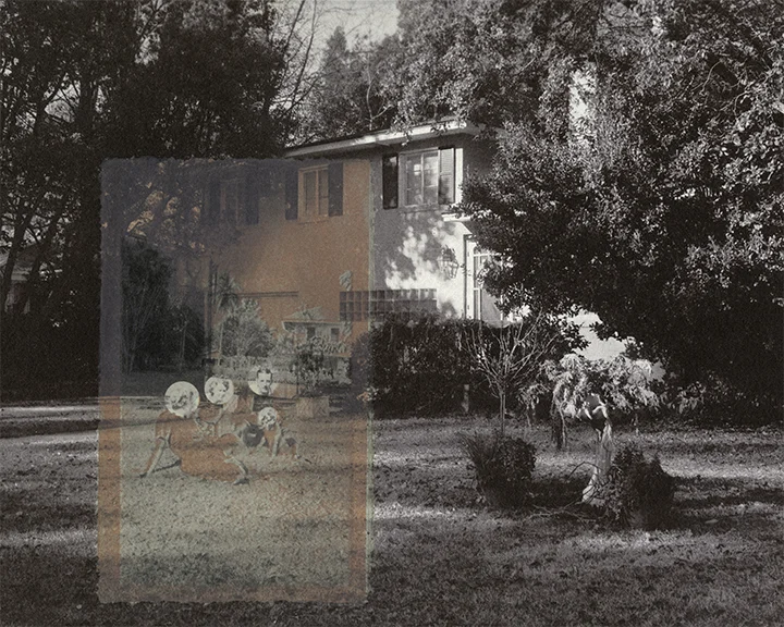 Gum Bichromate over Salted Paper 