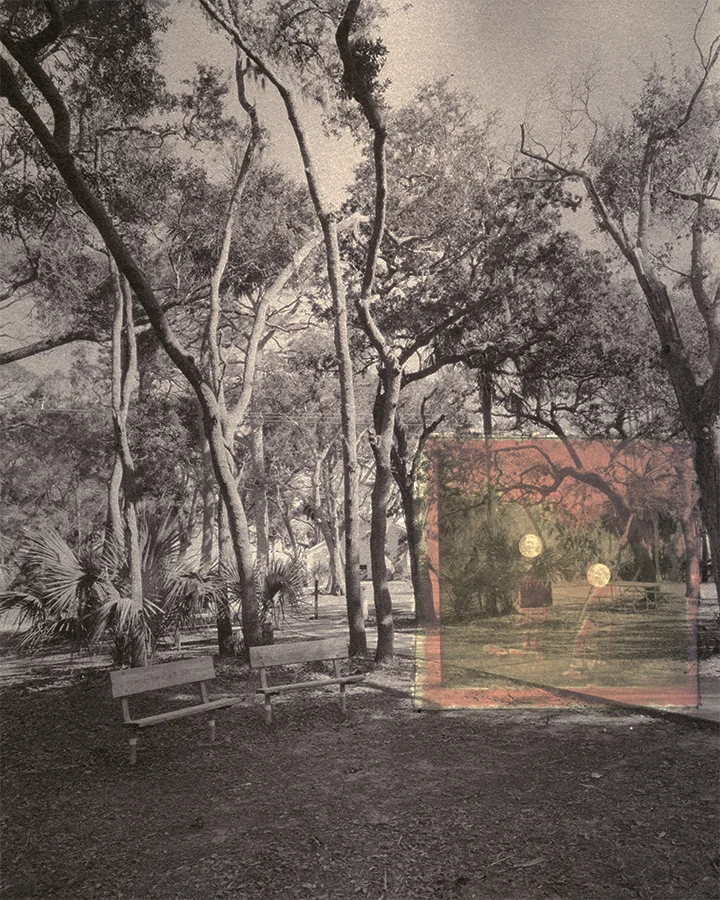 Gum Bichromate over Salted Paper 