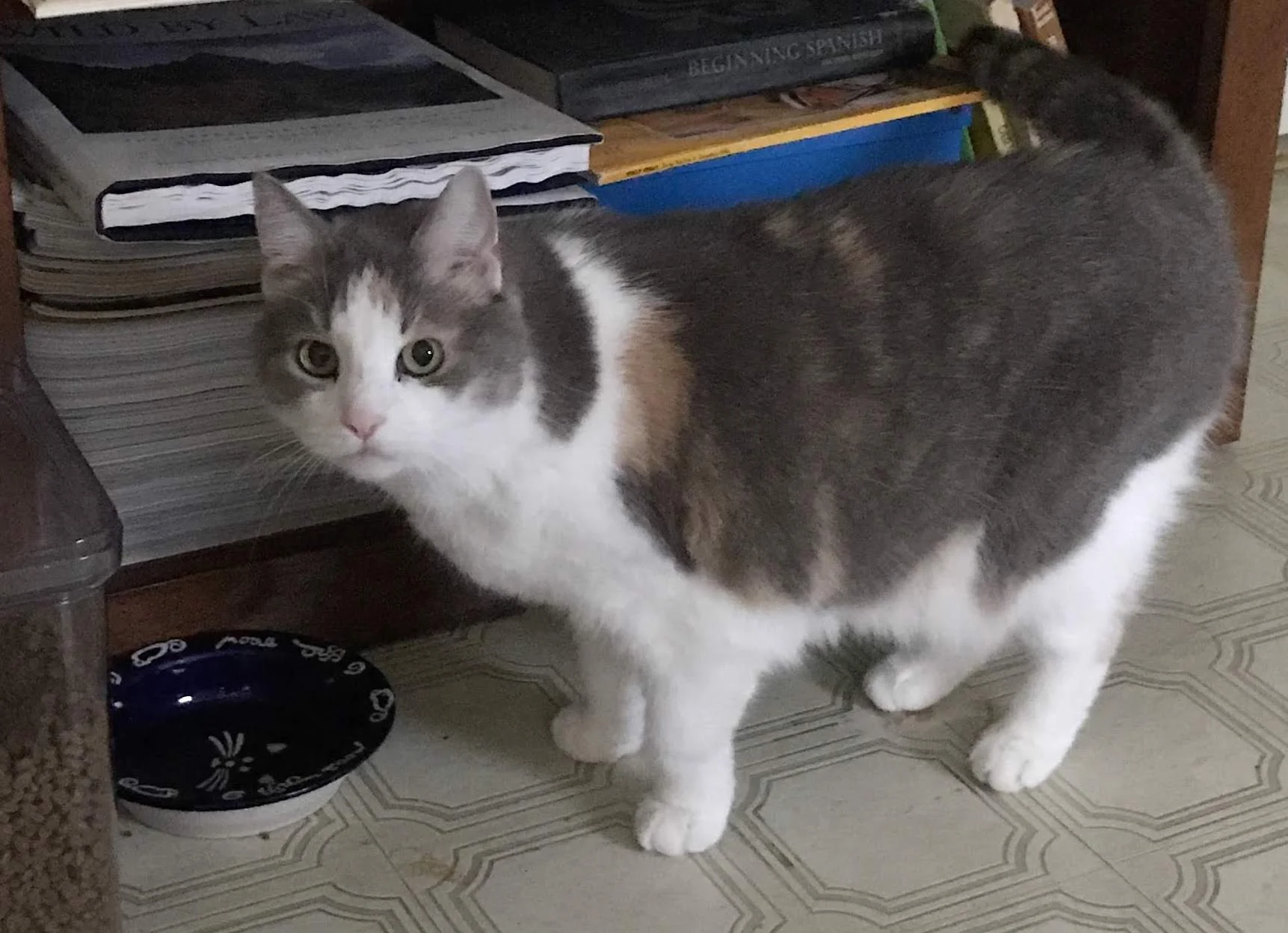 Learning to love your inner toddler