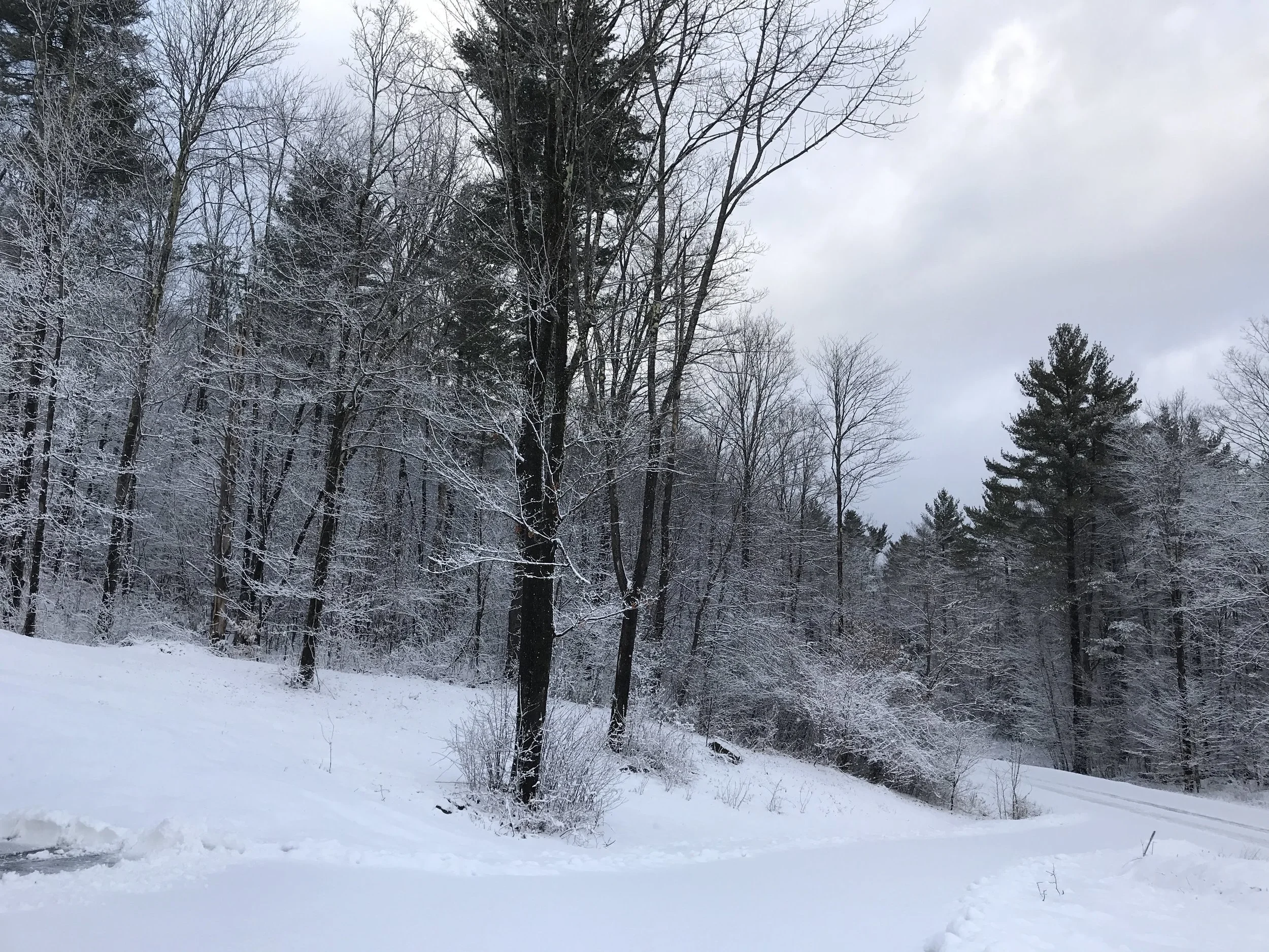 Leading and following