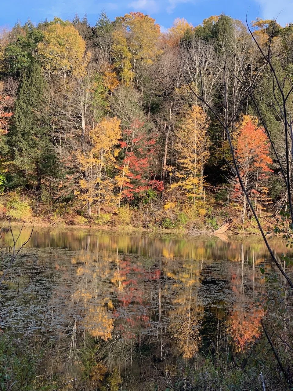 Some thoughts about the nature and practice of equanimity