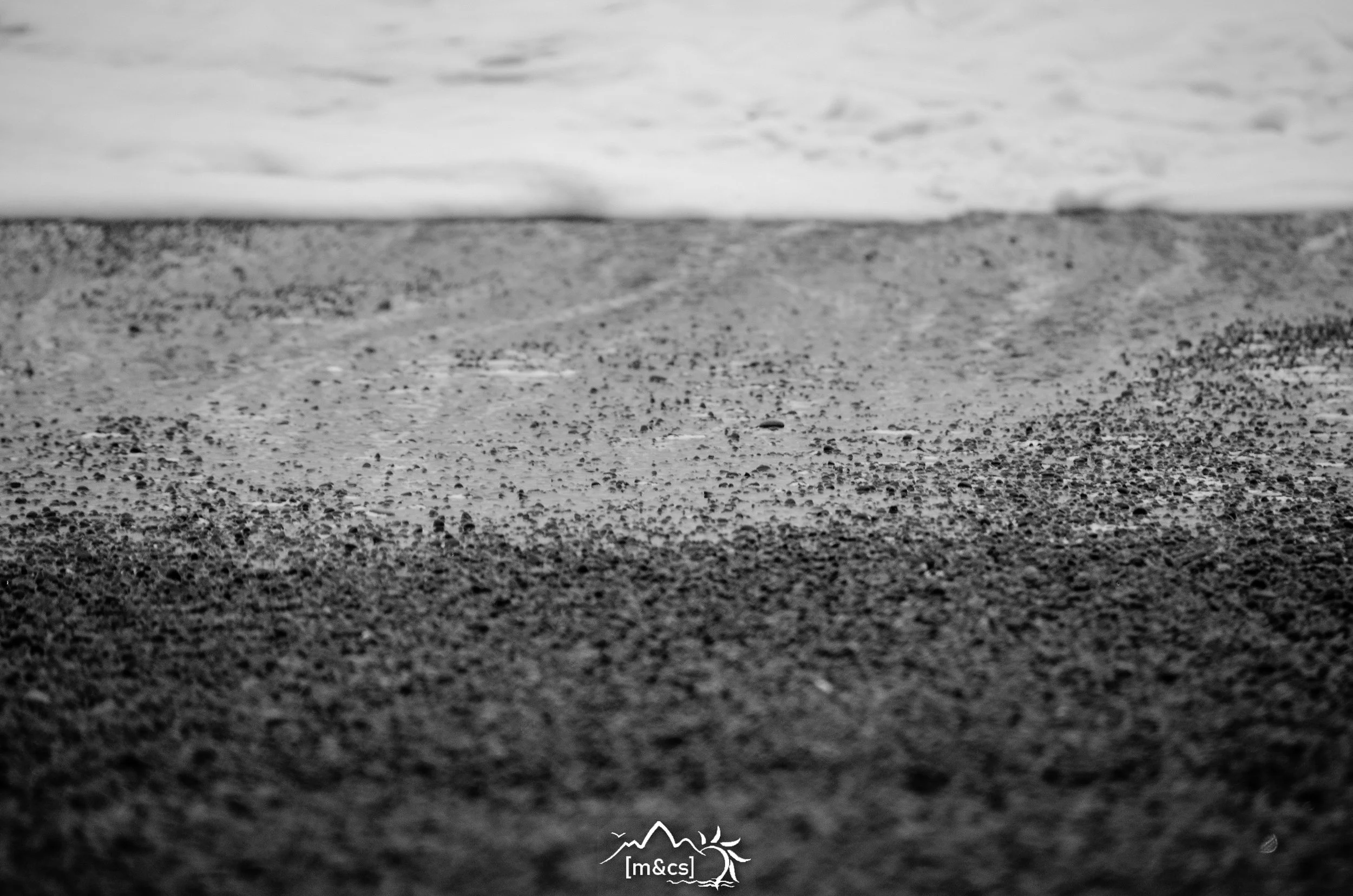 untitled-0287.JPG
