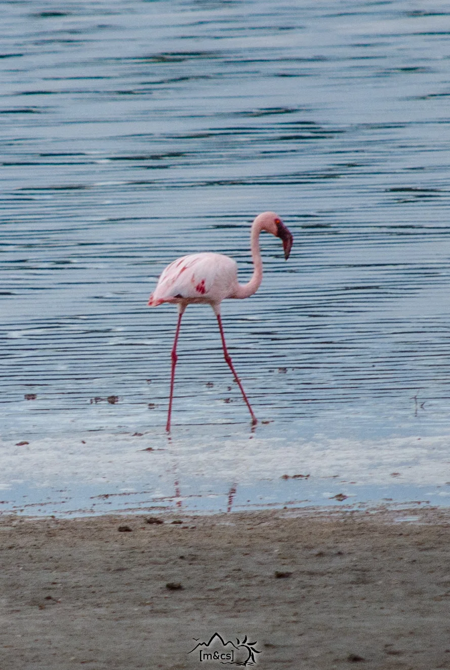 Serengeti National Park.
