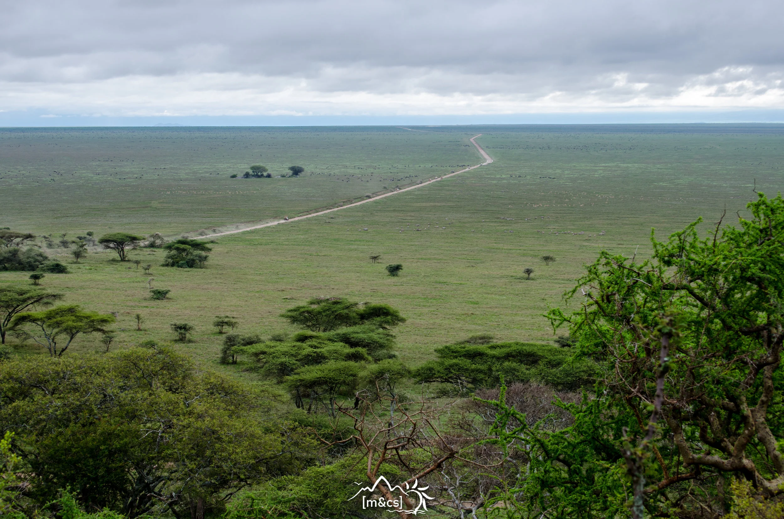 Central Serengeti.