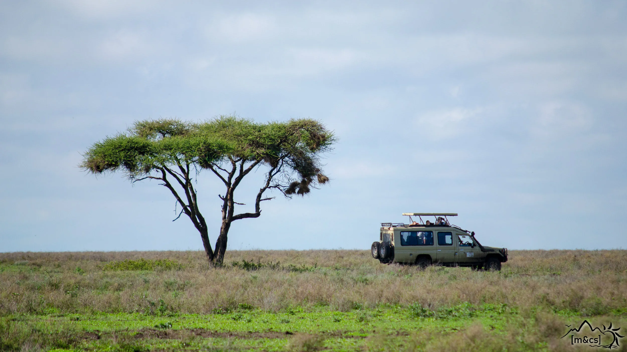 Serengeti National Park.
