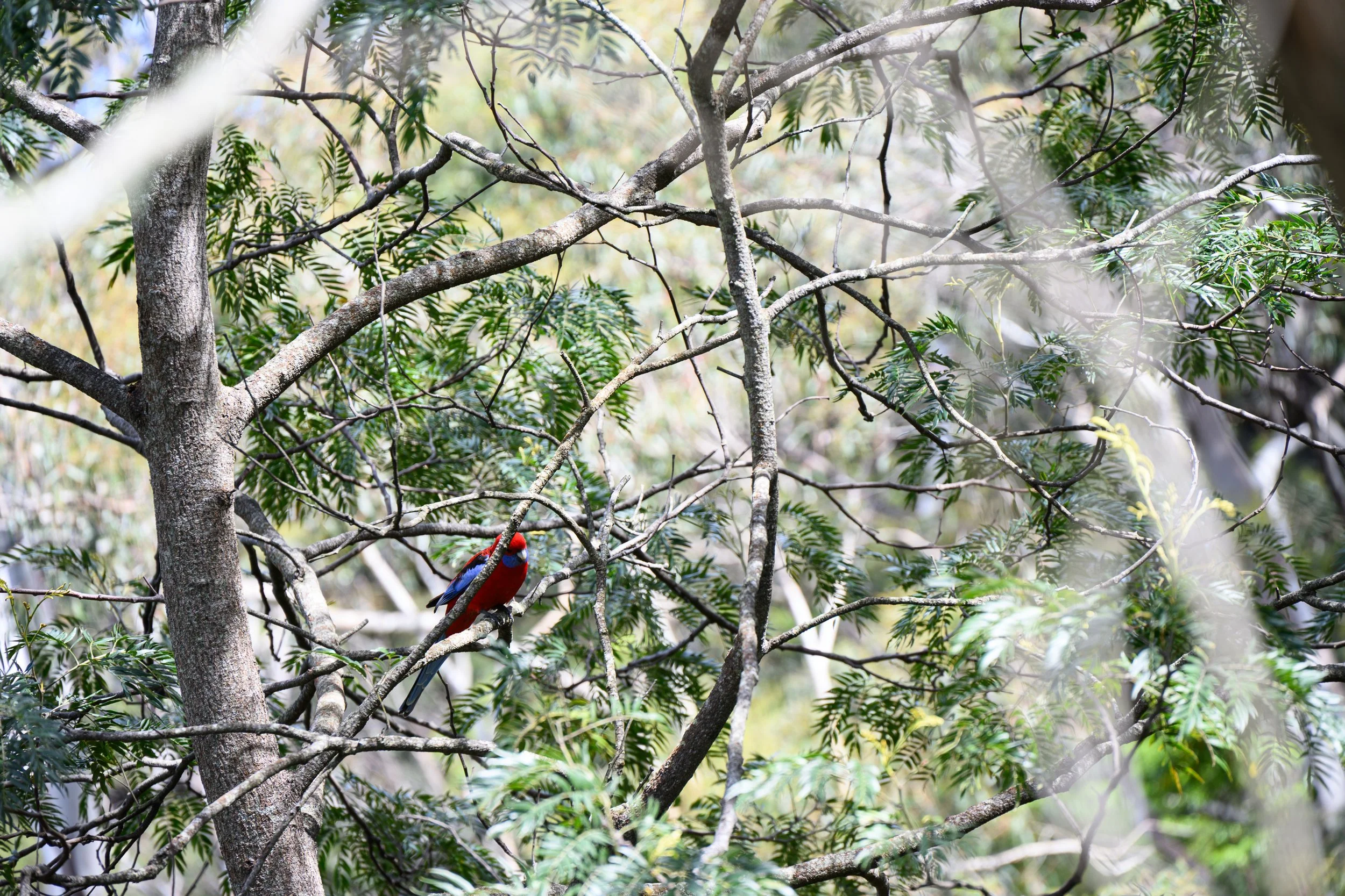2025_Australia_BlogPhotos-74.jpg