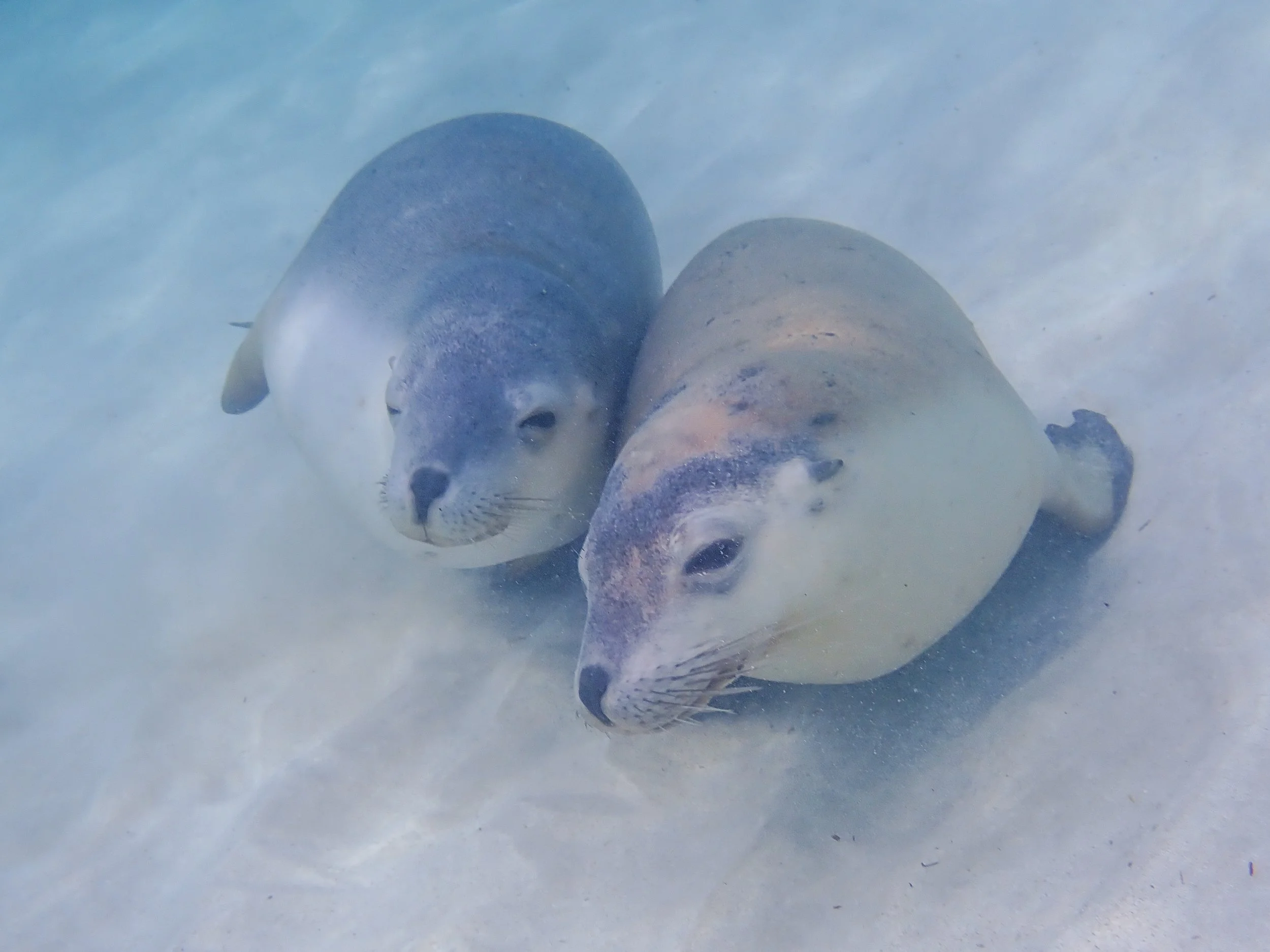 2025_Travel_Australia_Oympus_0333-FINAL.jpg