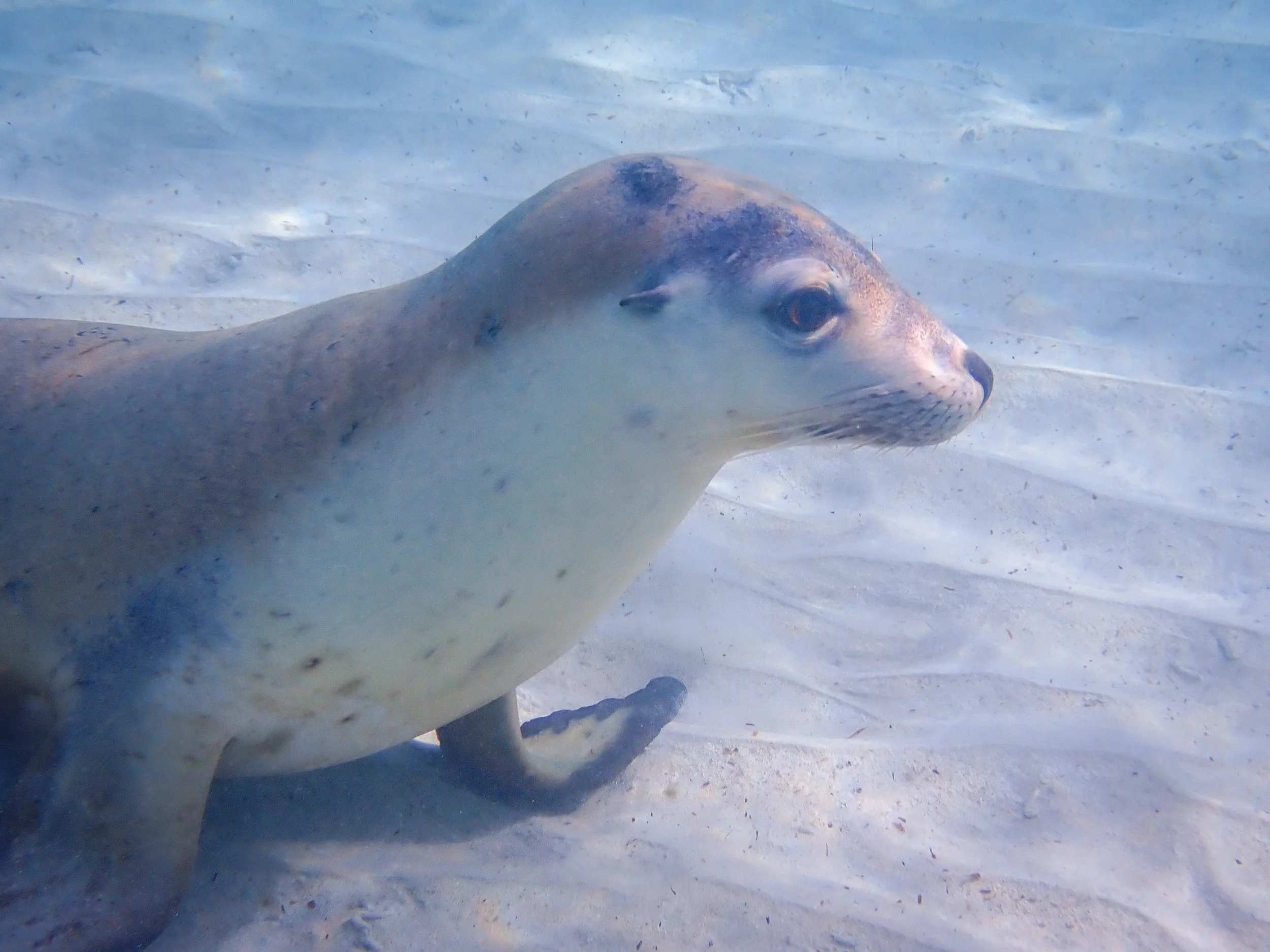 2025_Travel_Australia_Oympus_0356-FINAL.jpg