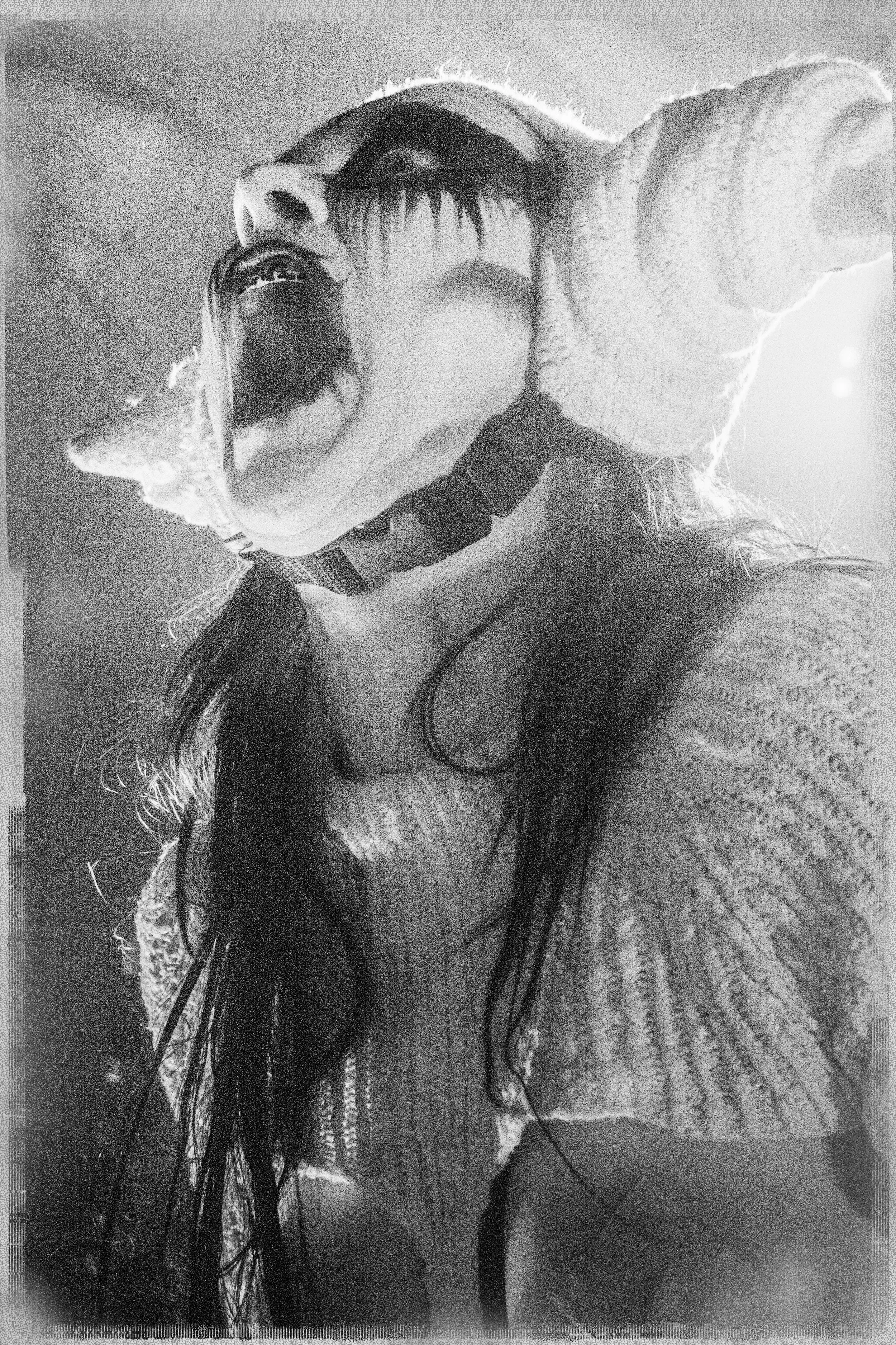 2026_WitchClubSatan_UndergroundArts_5-27-20260483-Edit.jpg