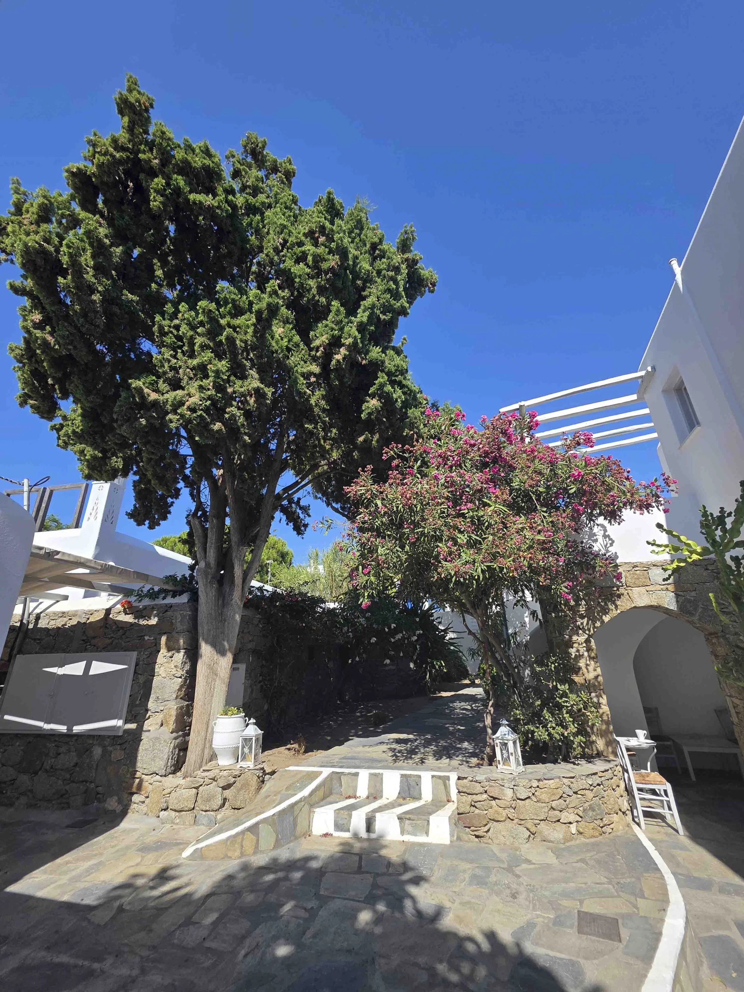 2026_Greece_MarkPhone-1483.jpg