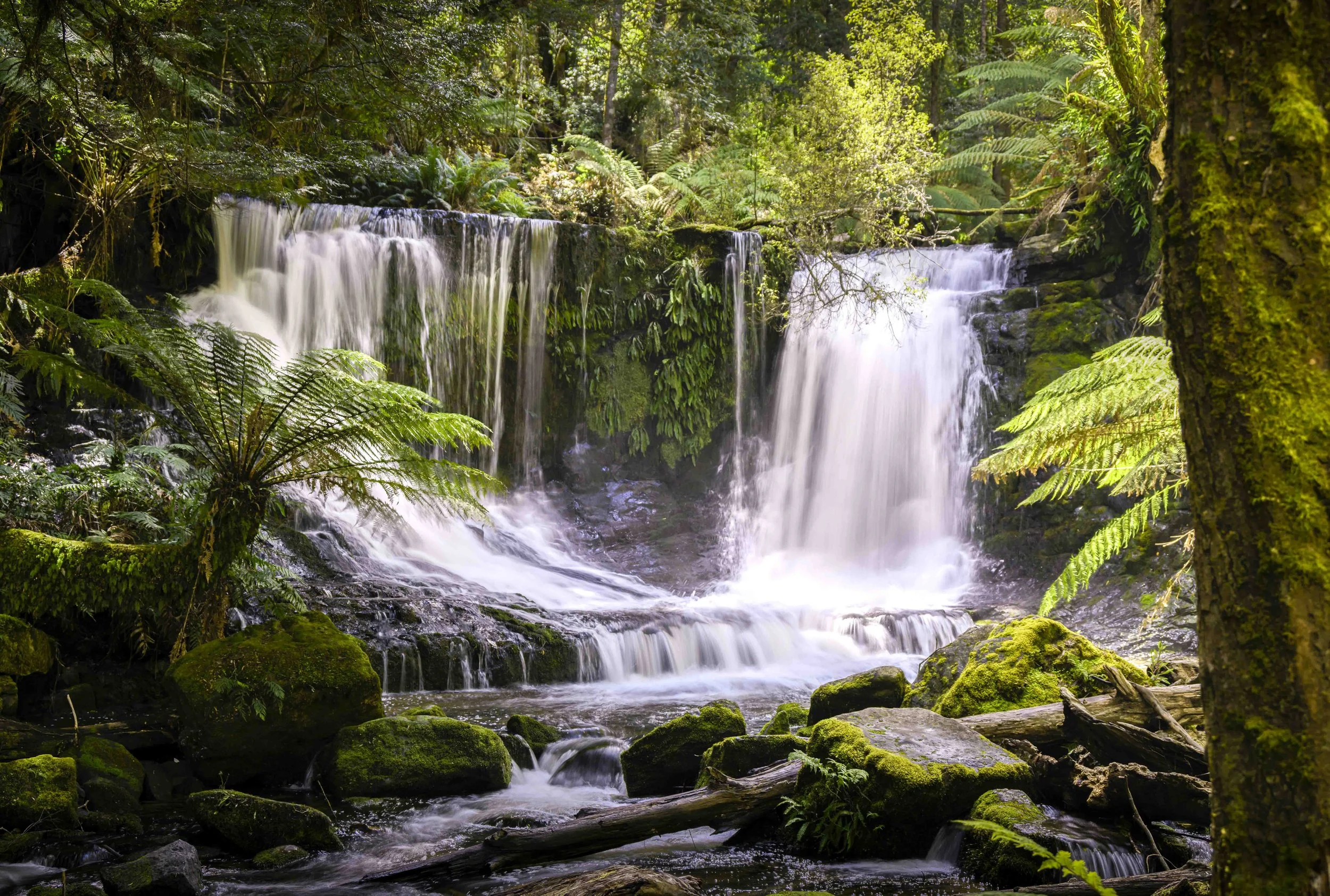 2025_Australia_Z8-0888-Edit.jpg