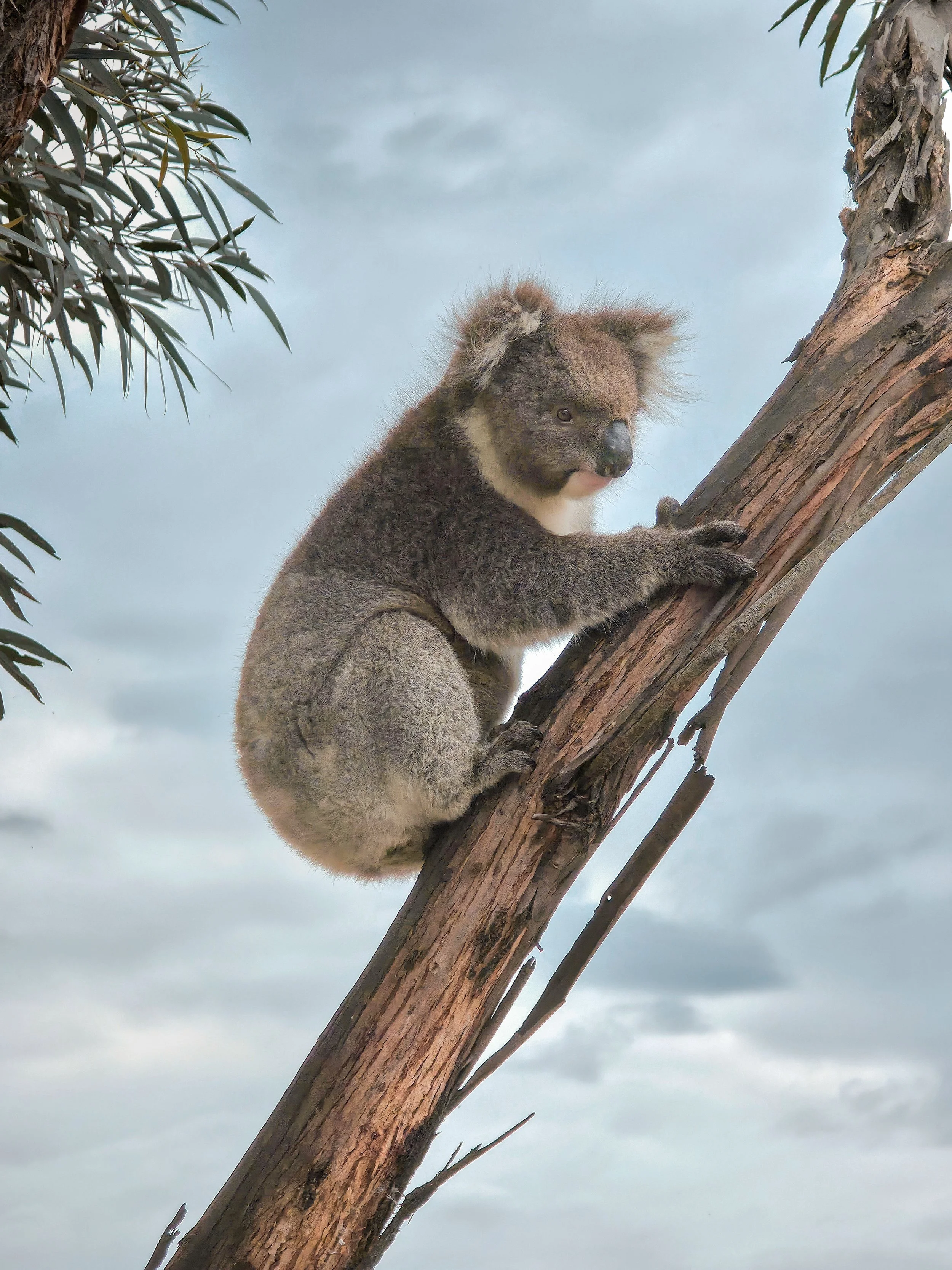 2025_Travel_Australia_CherPhone-1155-FINAL.jpg