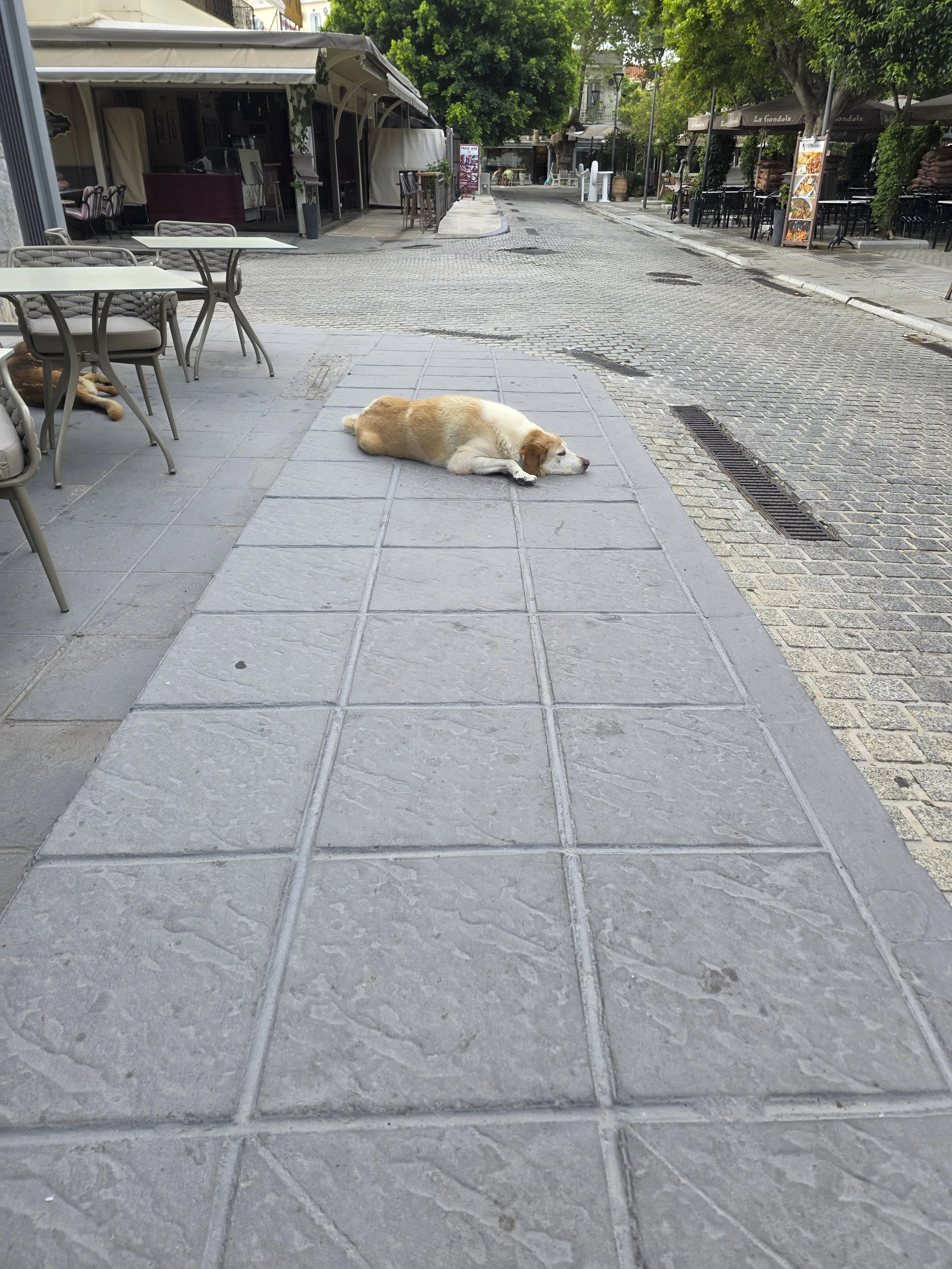 2026_Greece_Blog-29.jpg