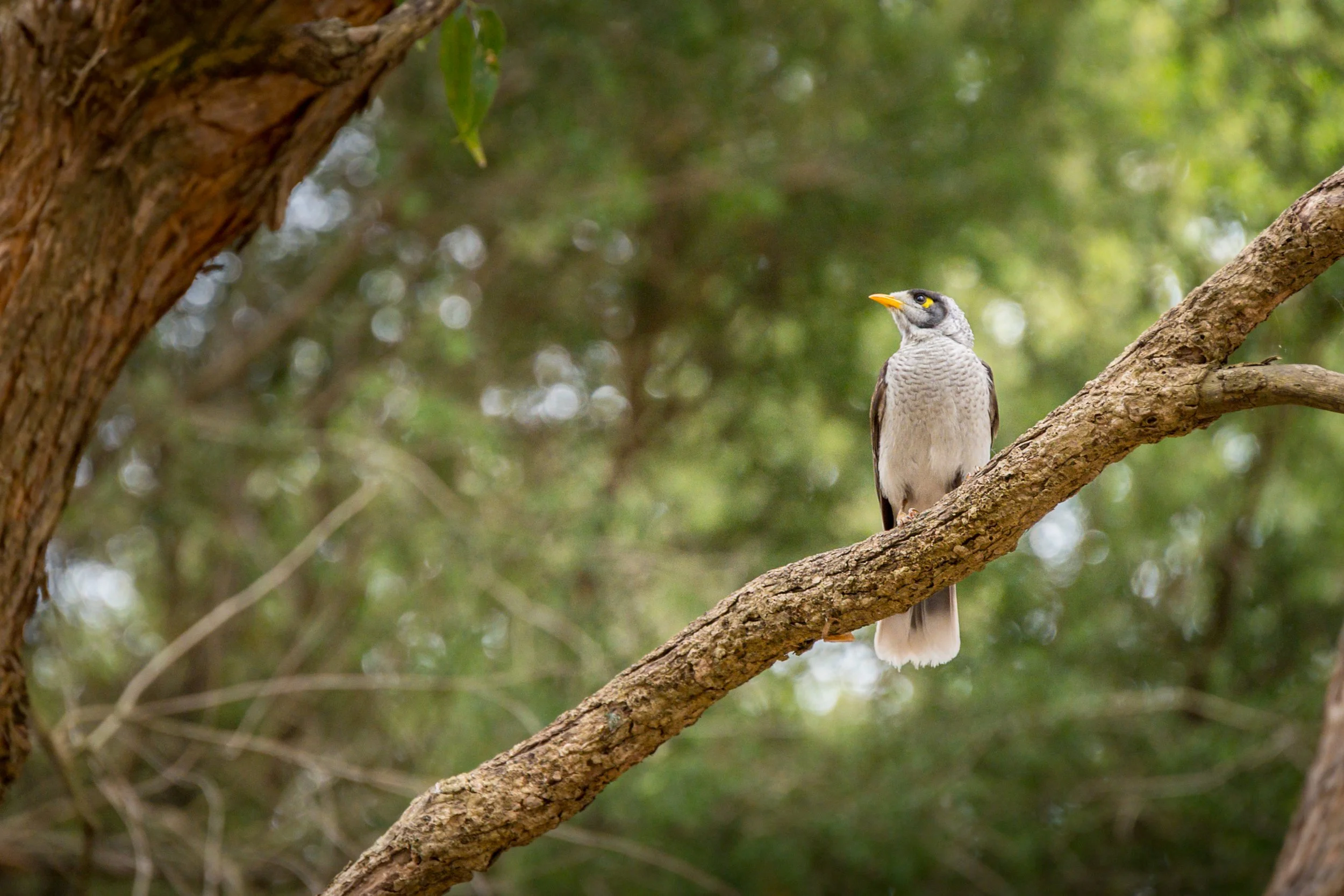 2025_Australia_Z6-0178-Edit-FINAL.jpg