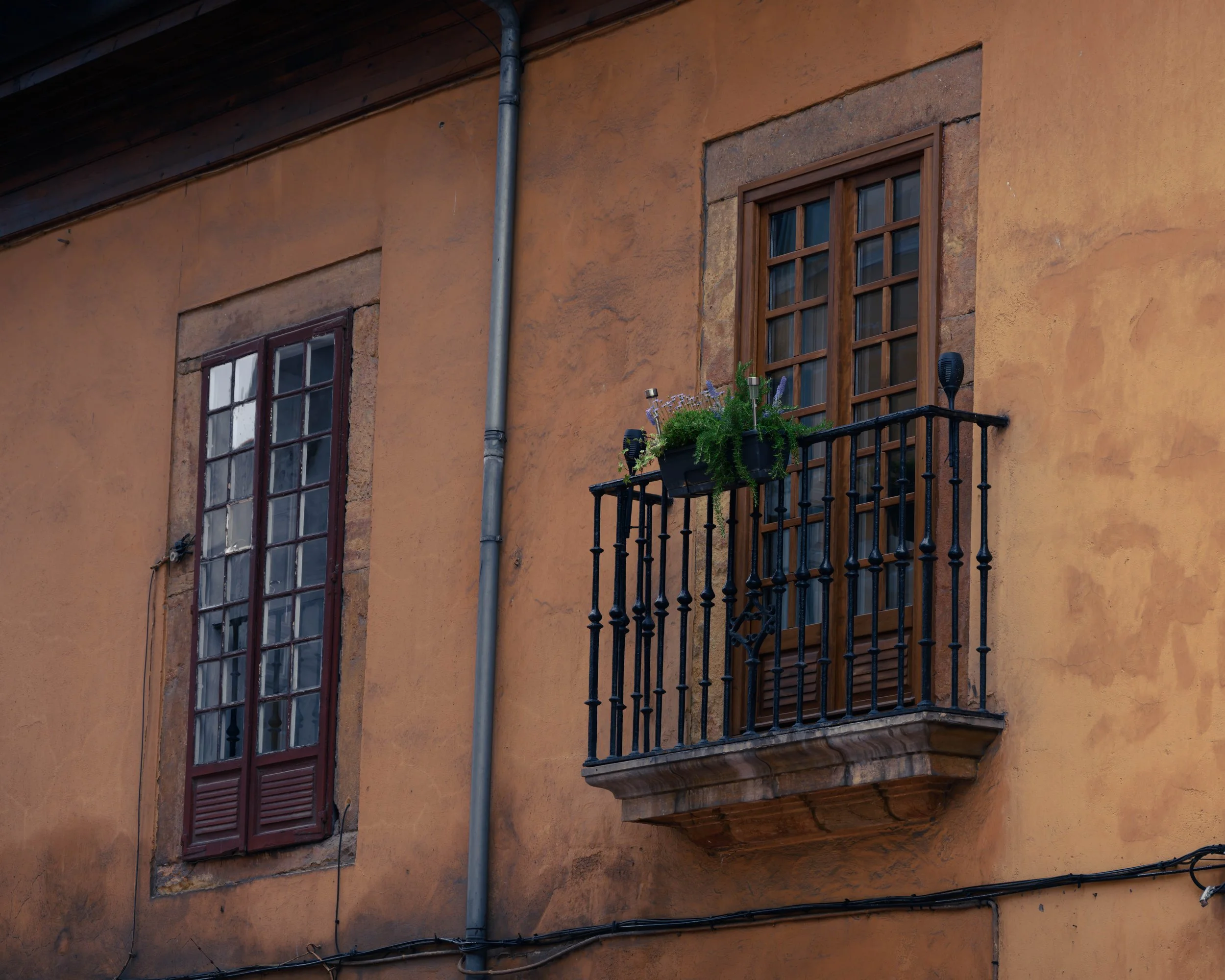 Ovieto