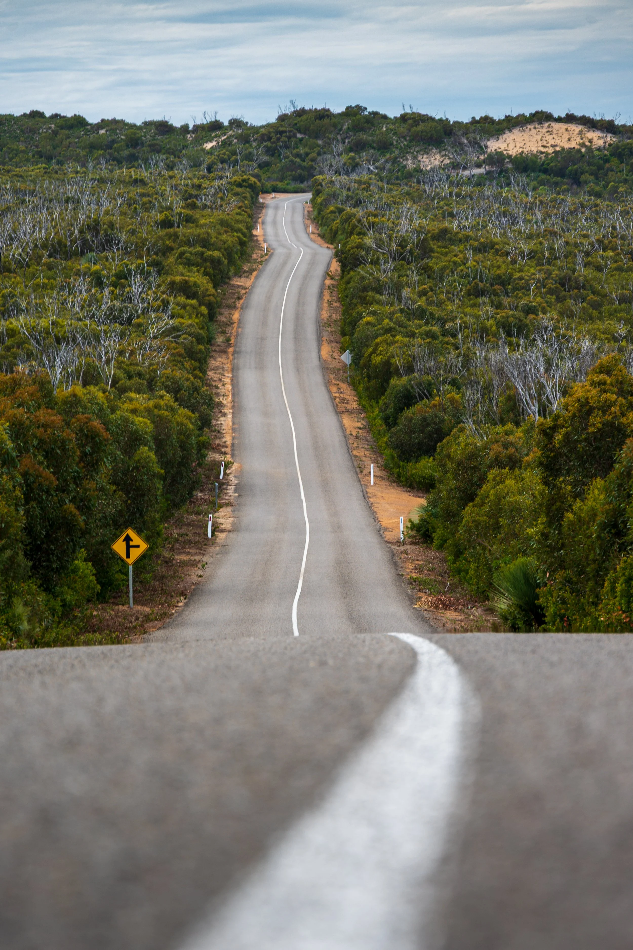 2025_Australia_Z6-2417-FINAL.jpg