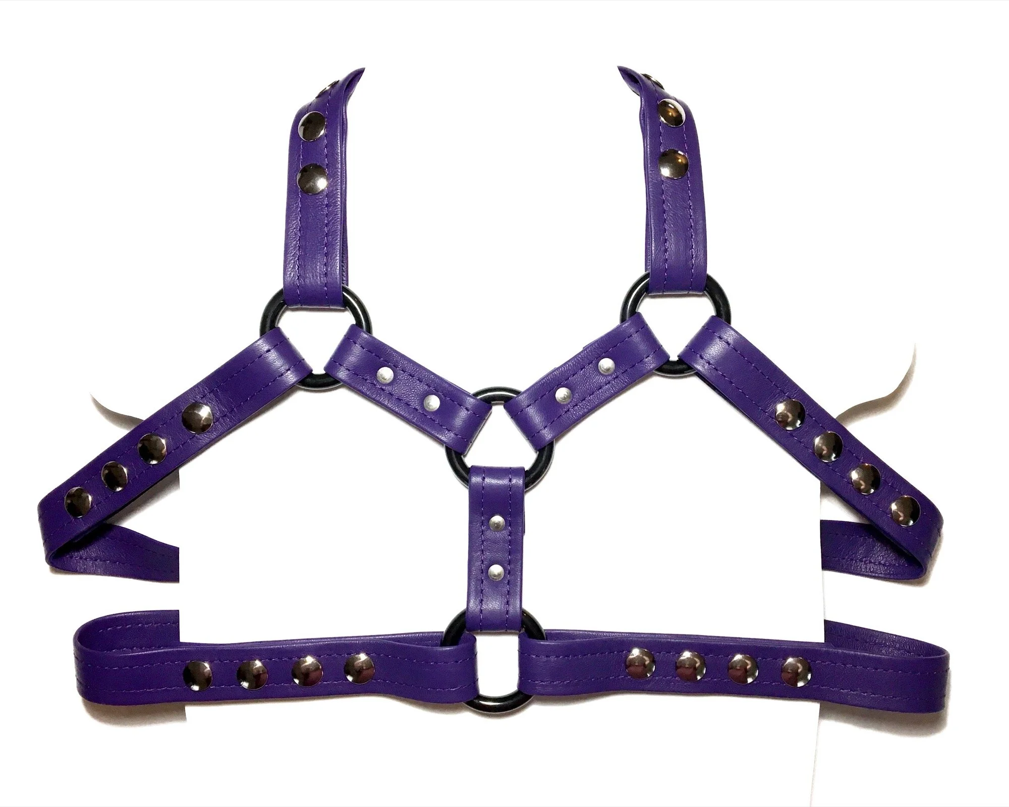 Adaptive Purple River, 2019