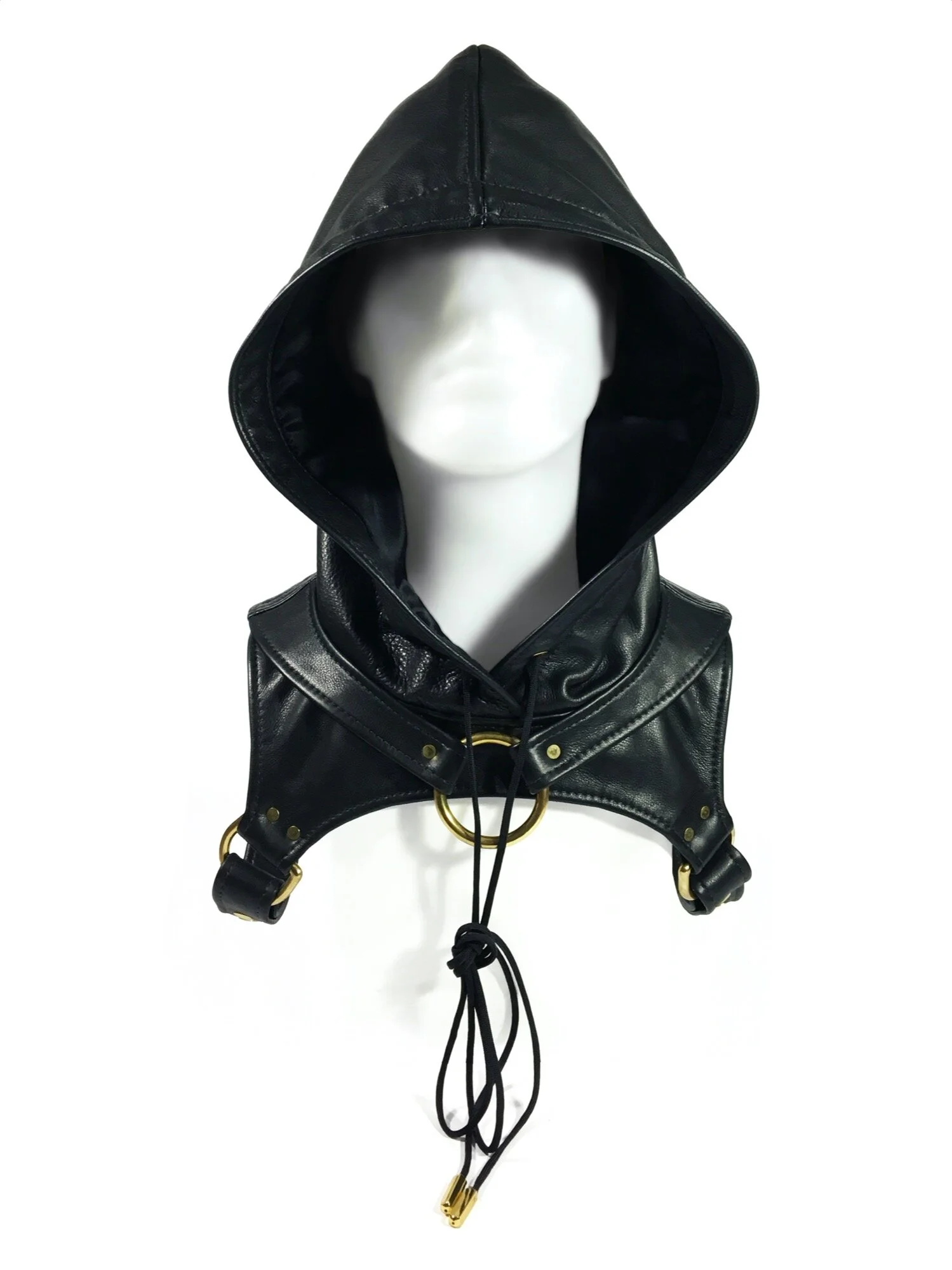 Hood Harness, 2017