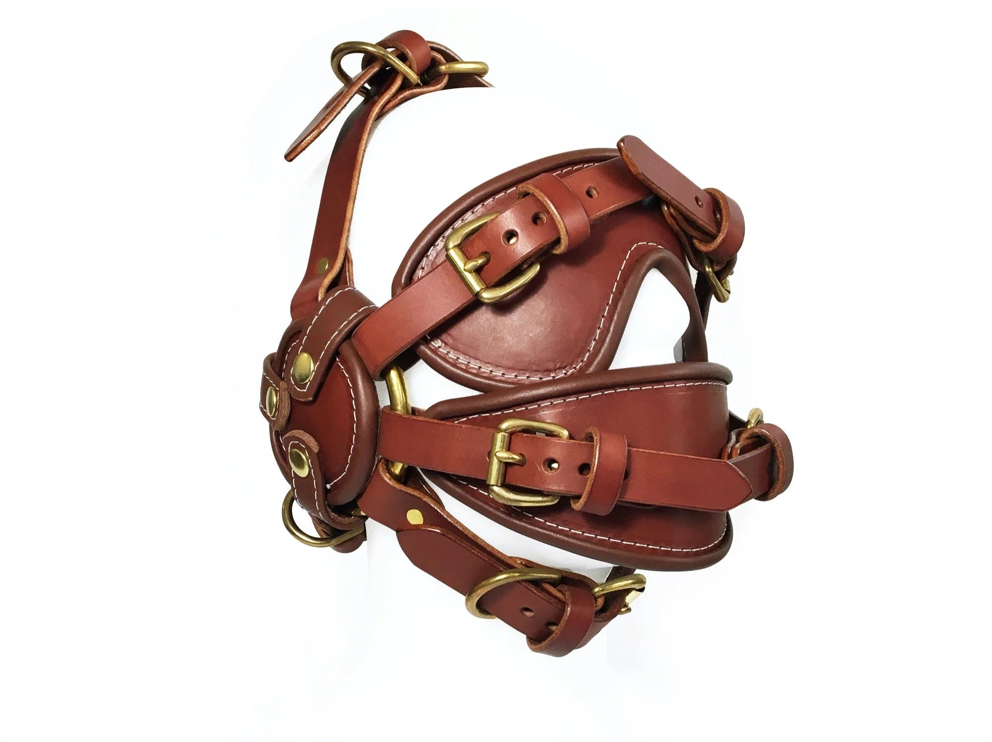 Head Harness, 2018