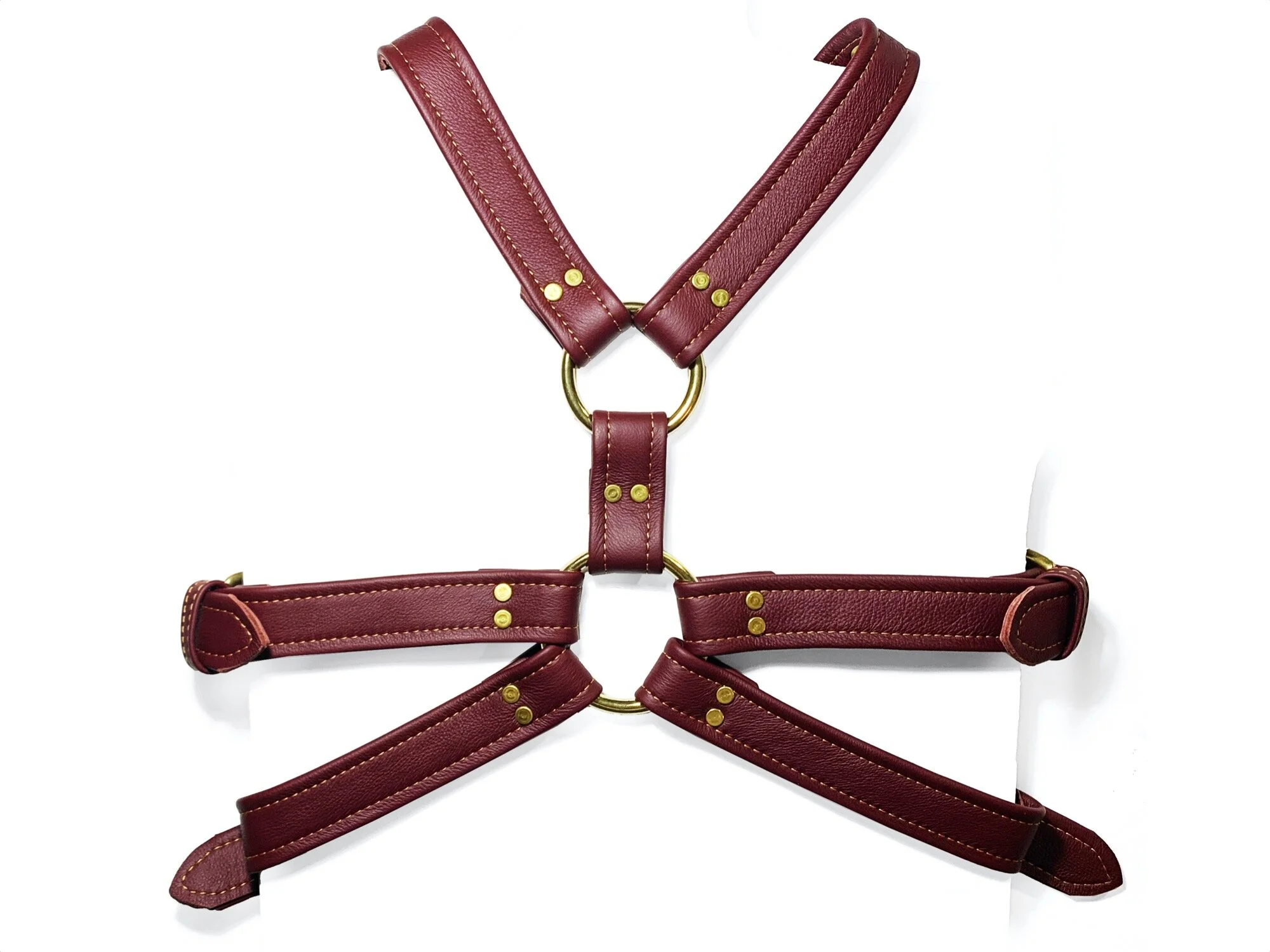 Oxblood Chest Harness, 2020