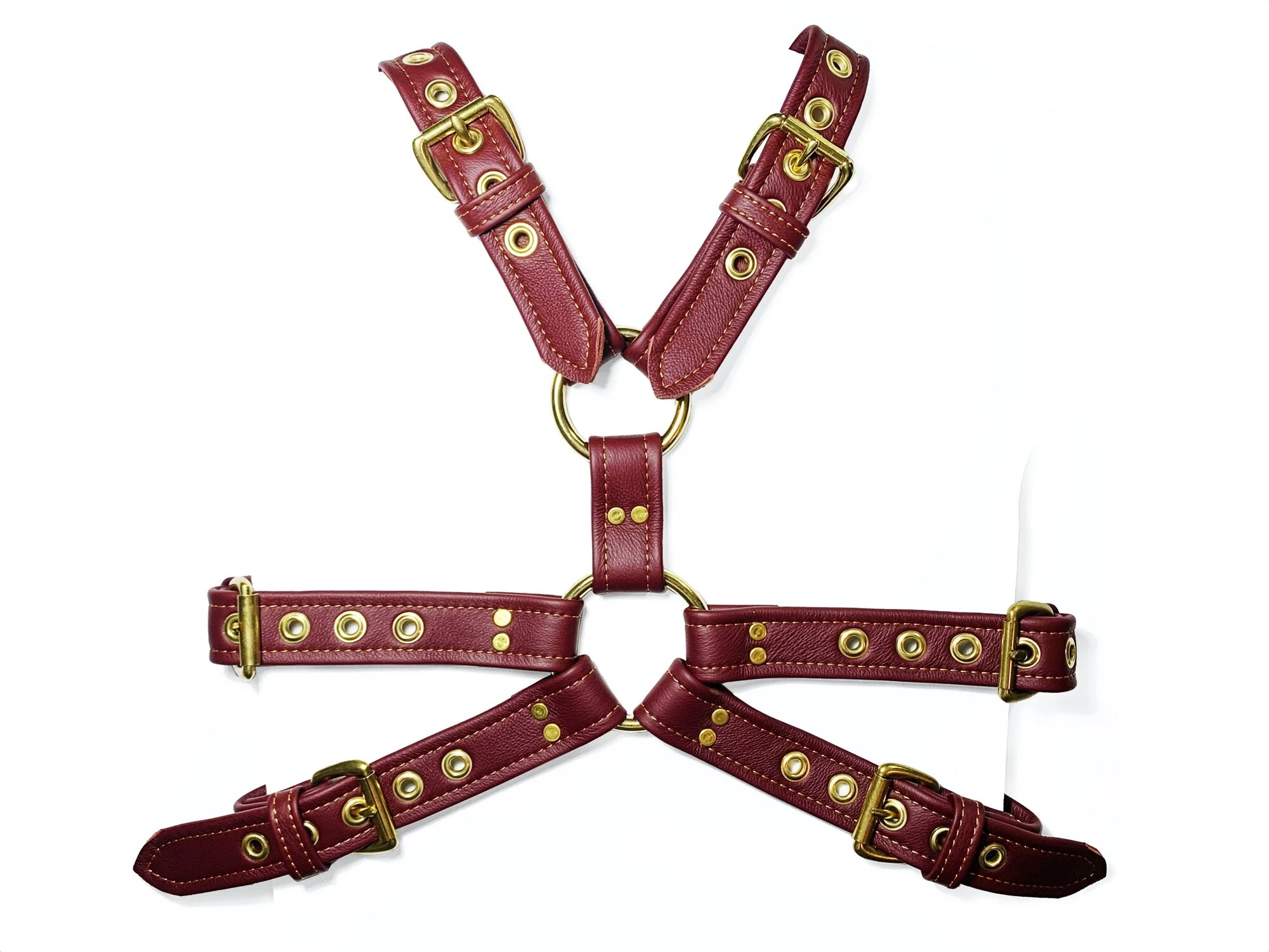 Oxblood Chest Harness, 2020