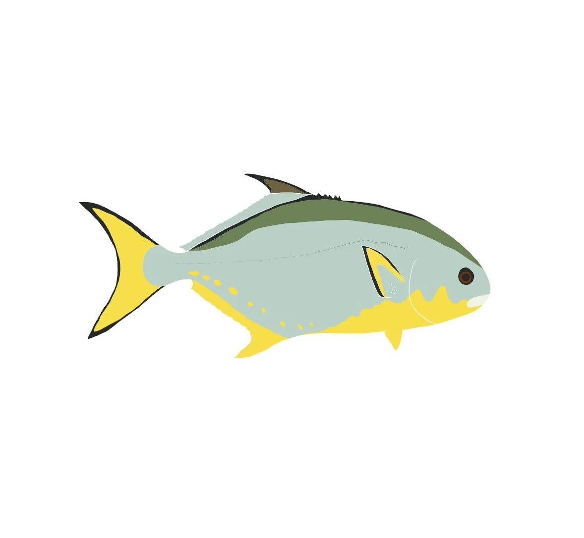 Florida Pompano