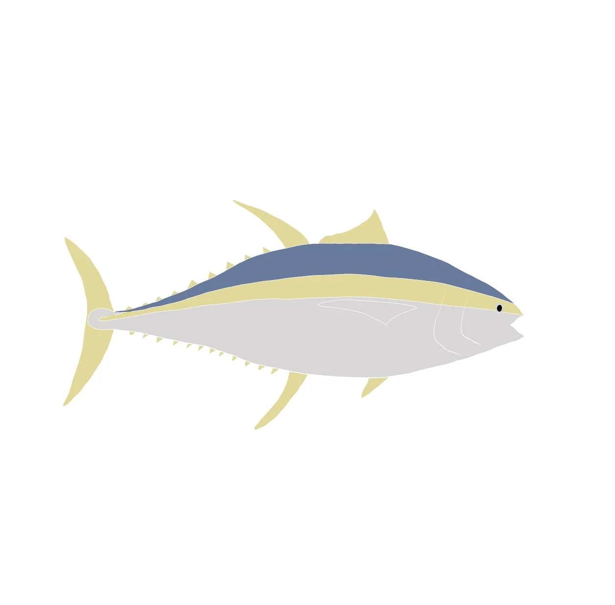 Yellowtail Tuna
