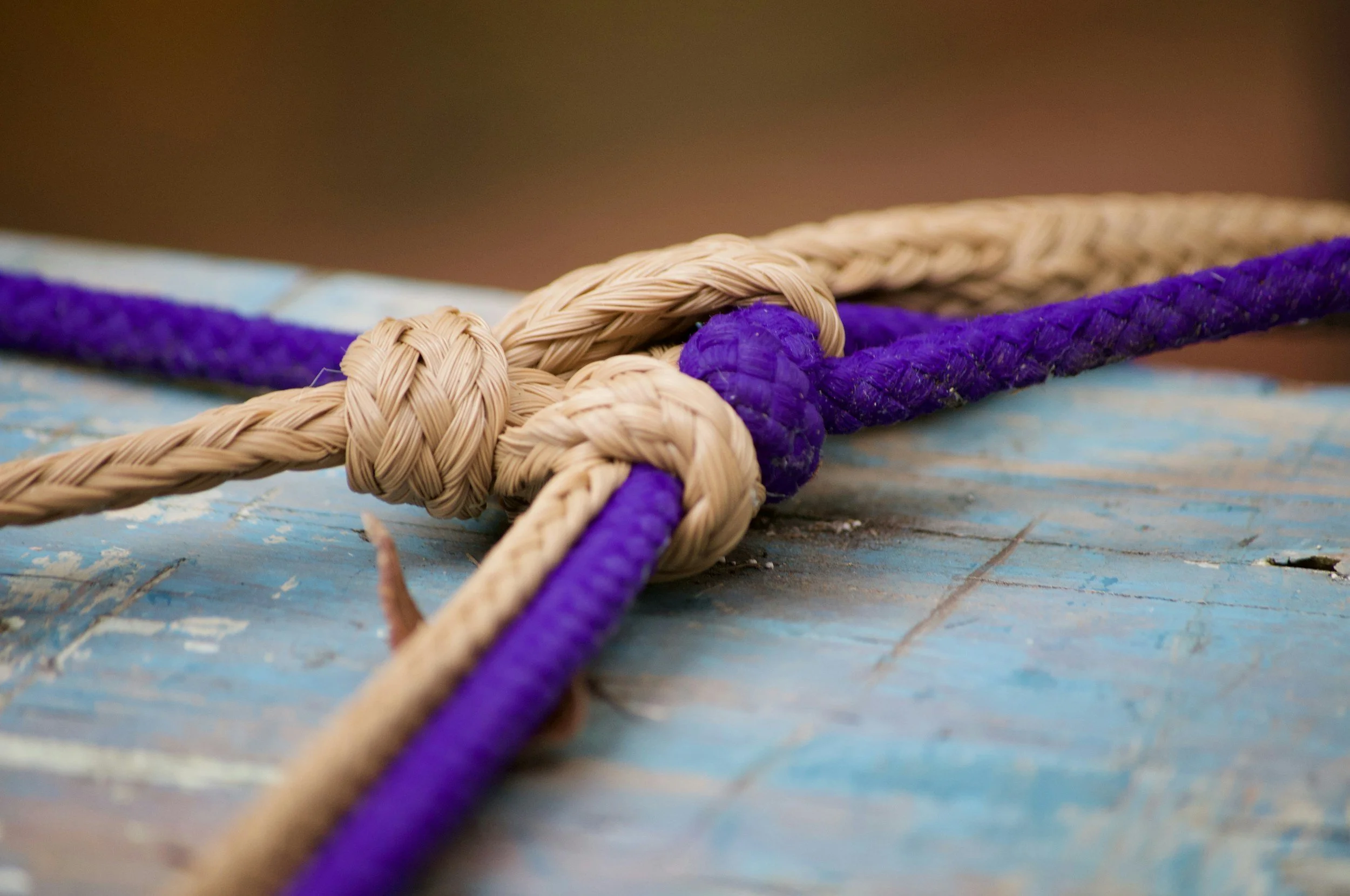 Untangling an Operations Manual from Your Staff Handbook&nbsp;