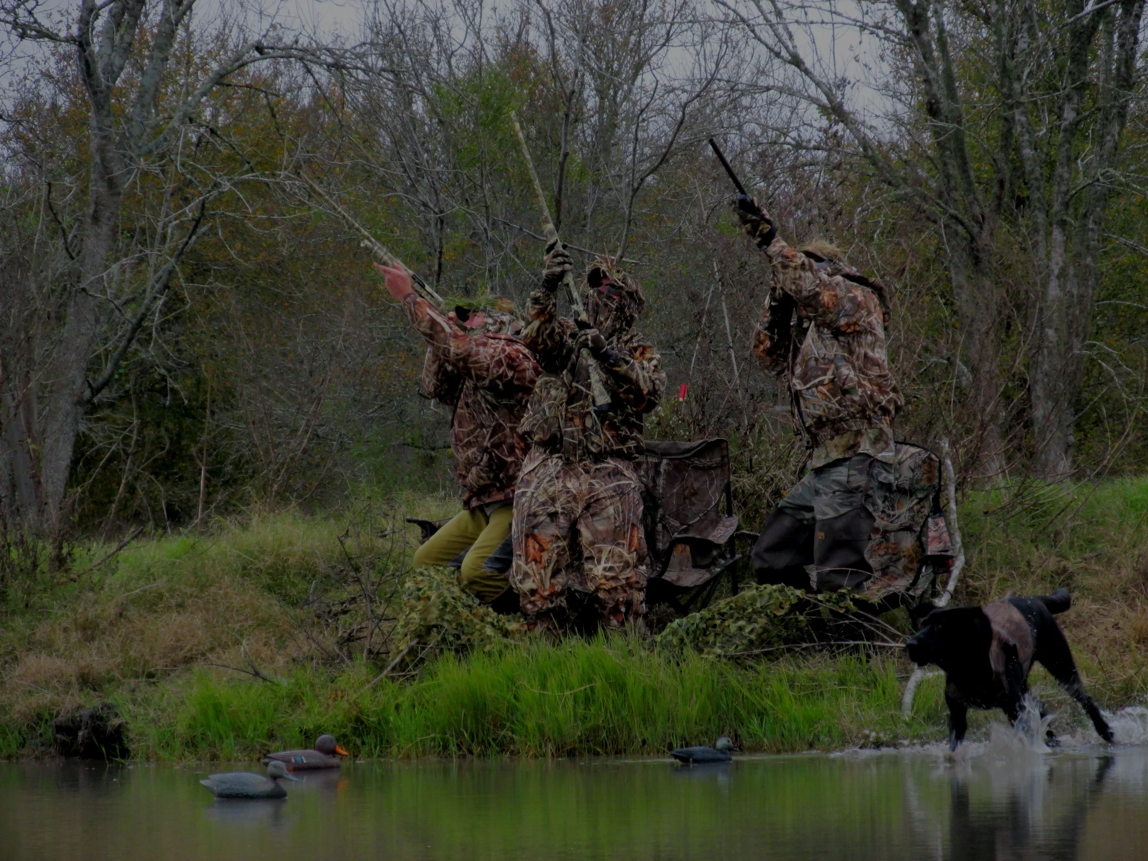 Mobile Banner Backup.JPG