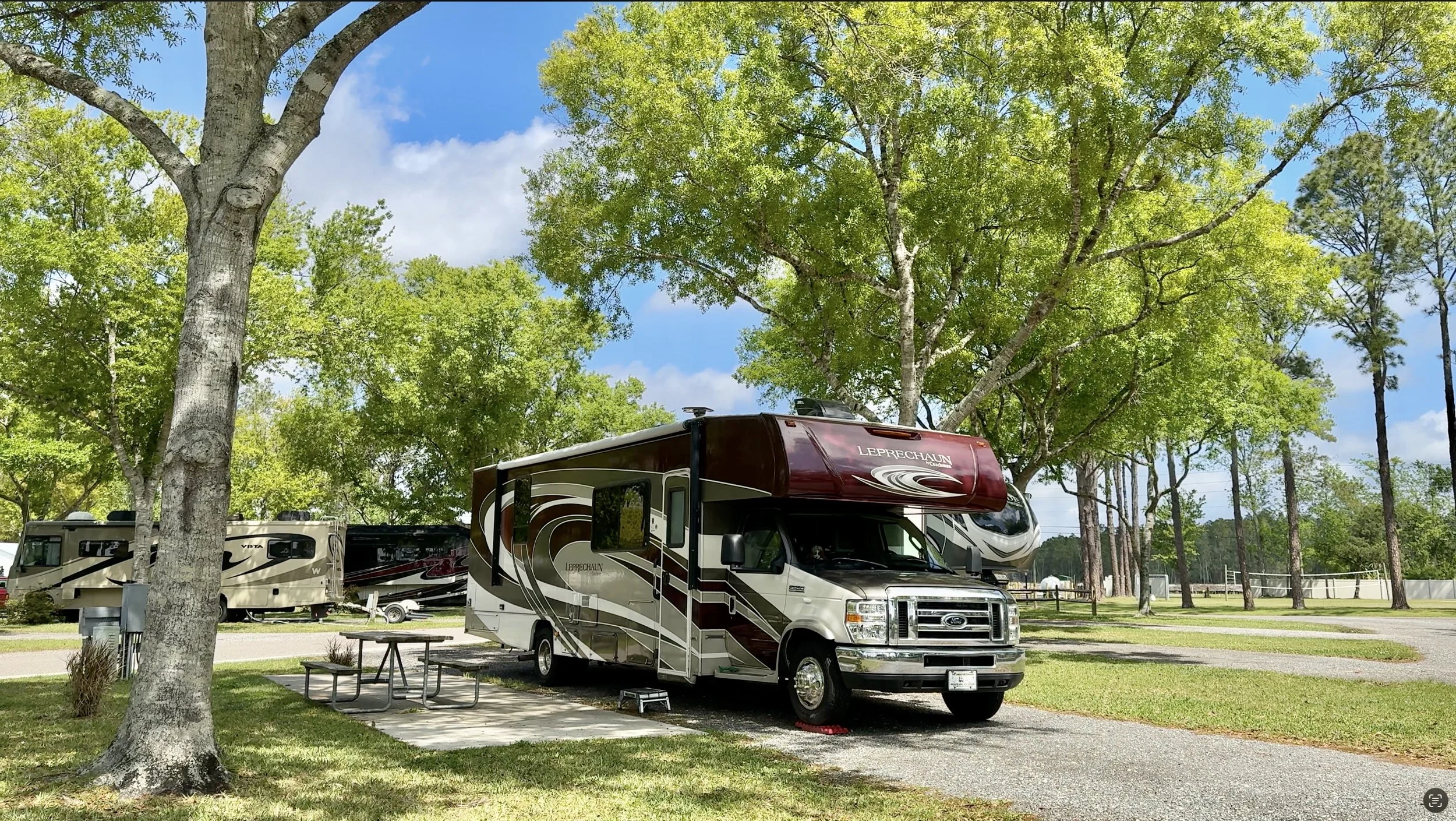 RV park with multiple recreational vehicles parked under trees on a bright, partly cloudy day.