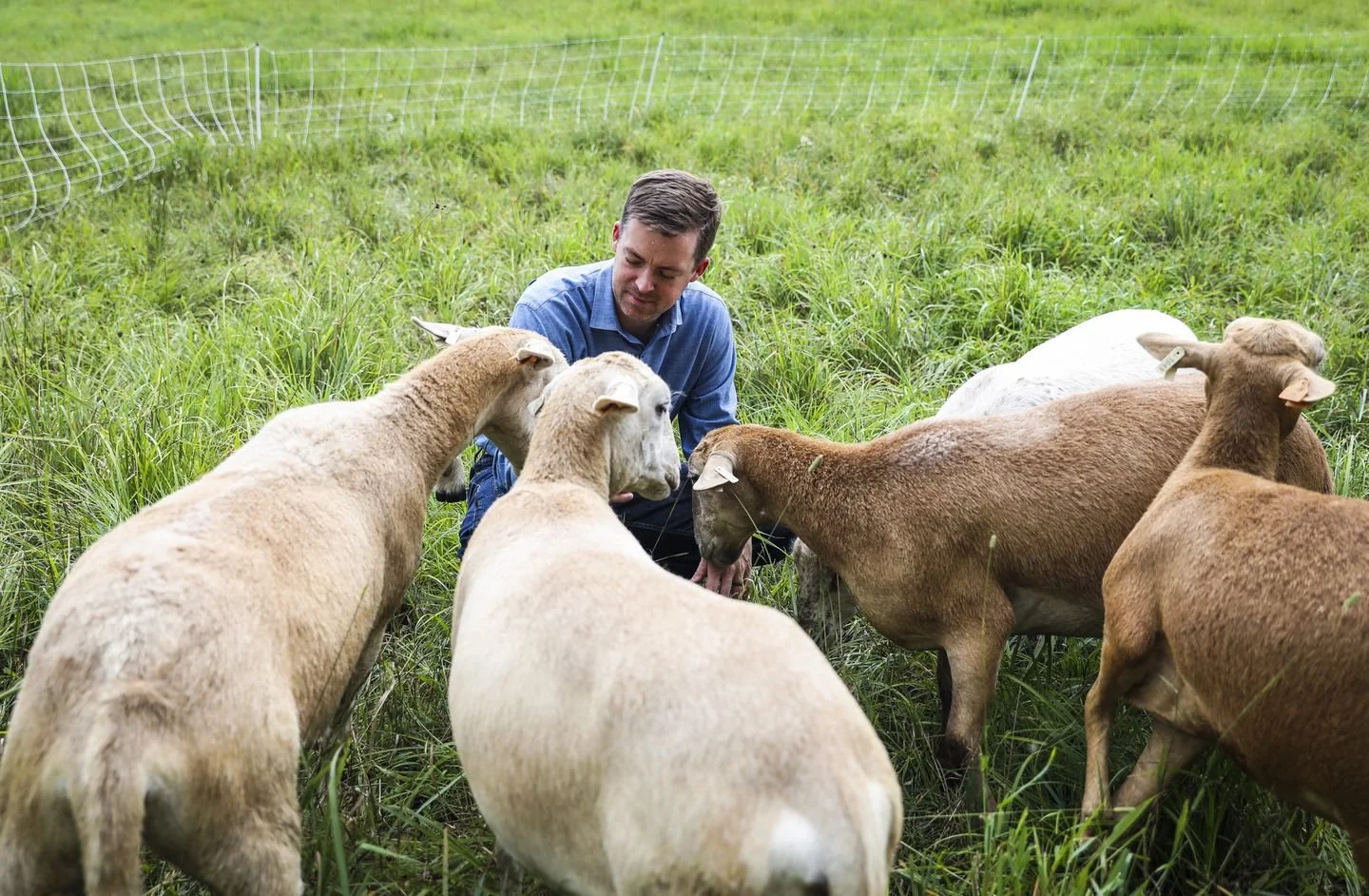 He built a grass-fed beef empire. Now he wants to be your bank