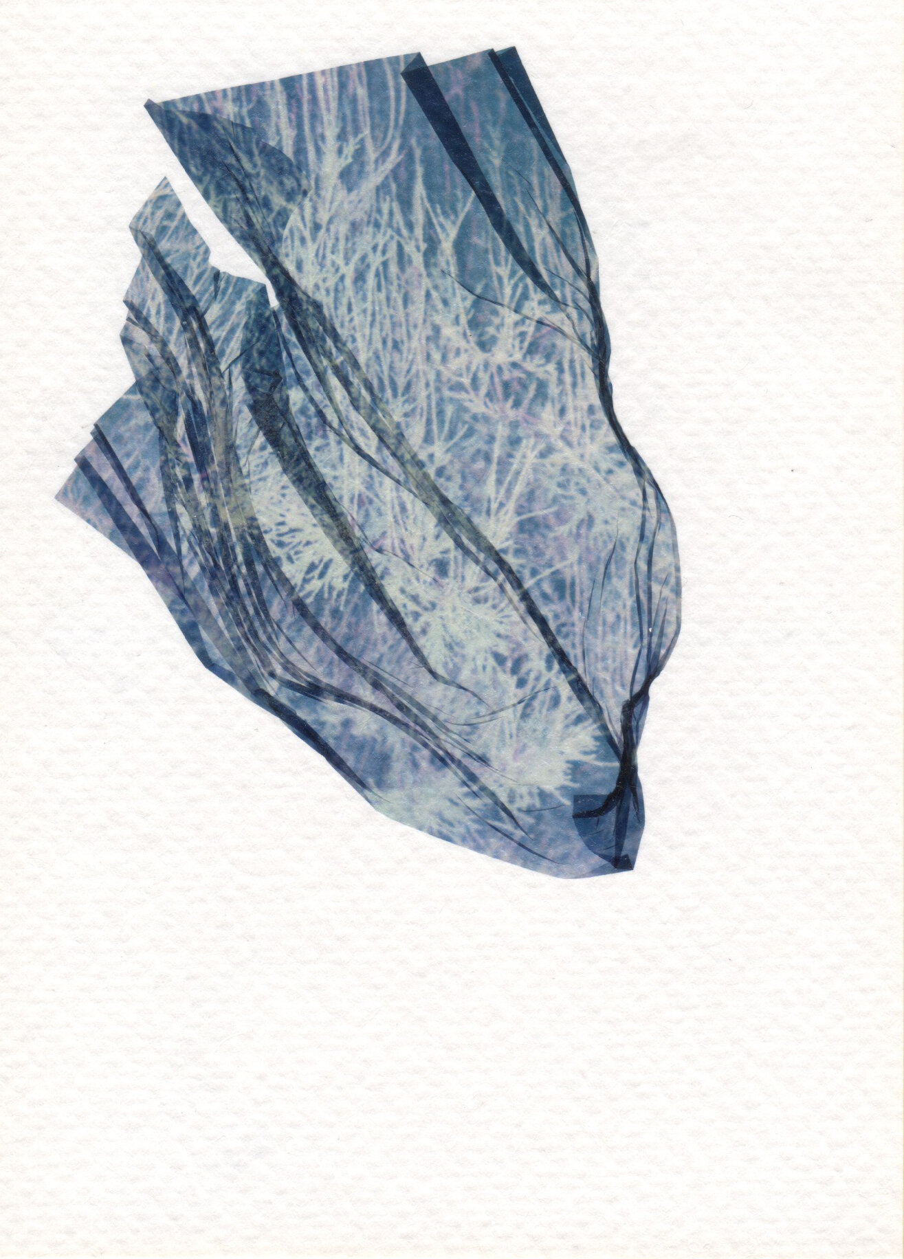 emulsionlift1_3.75x5.25inches.jpg