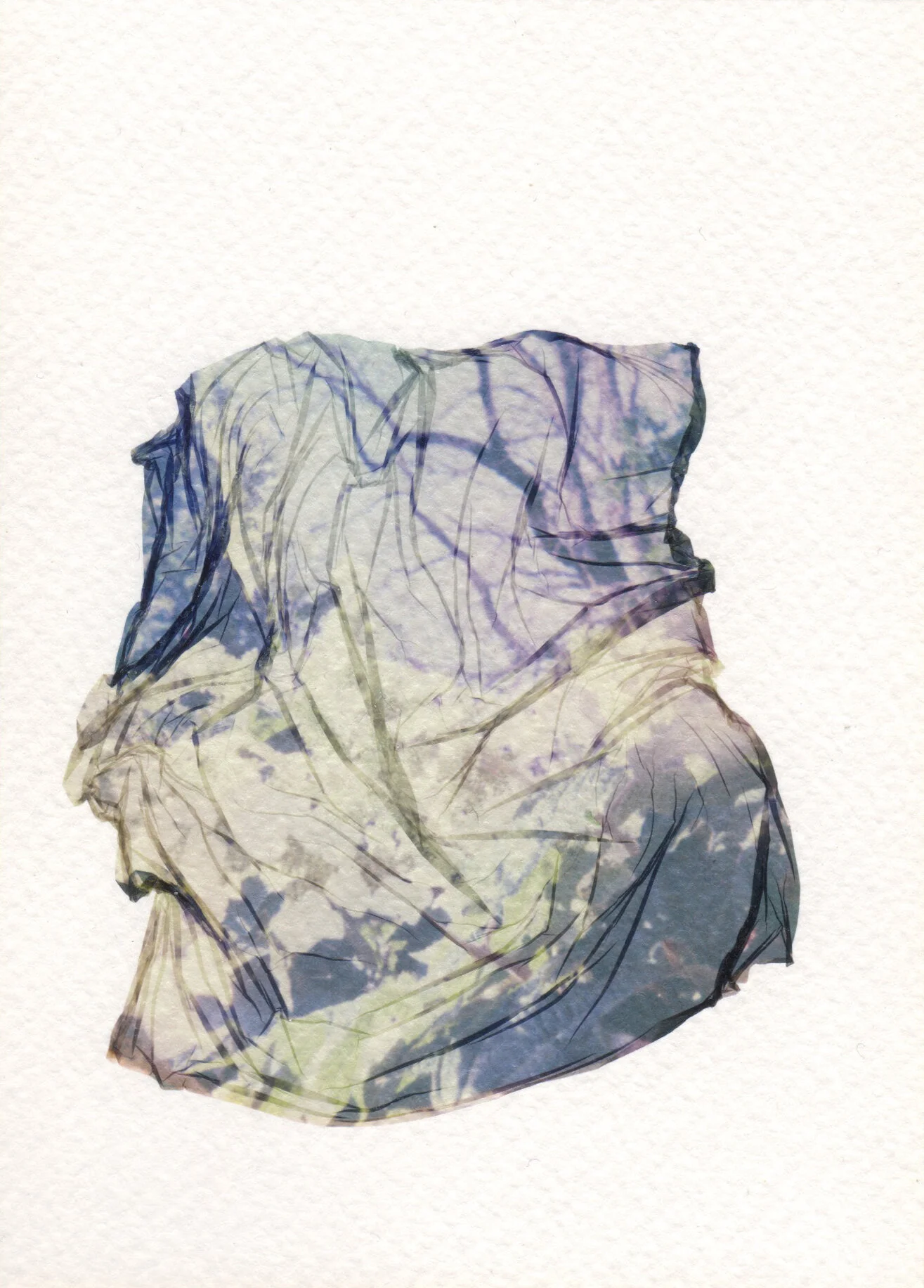 emulsionlift2.jpg