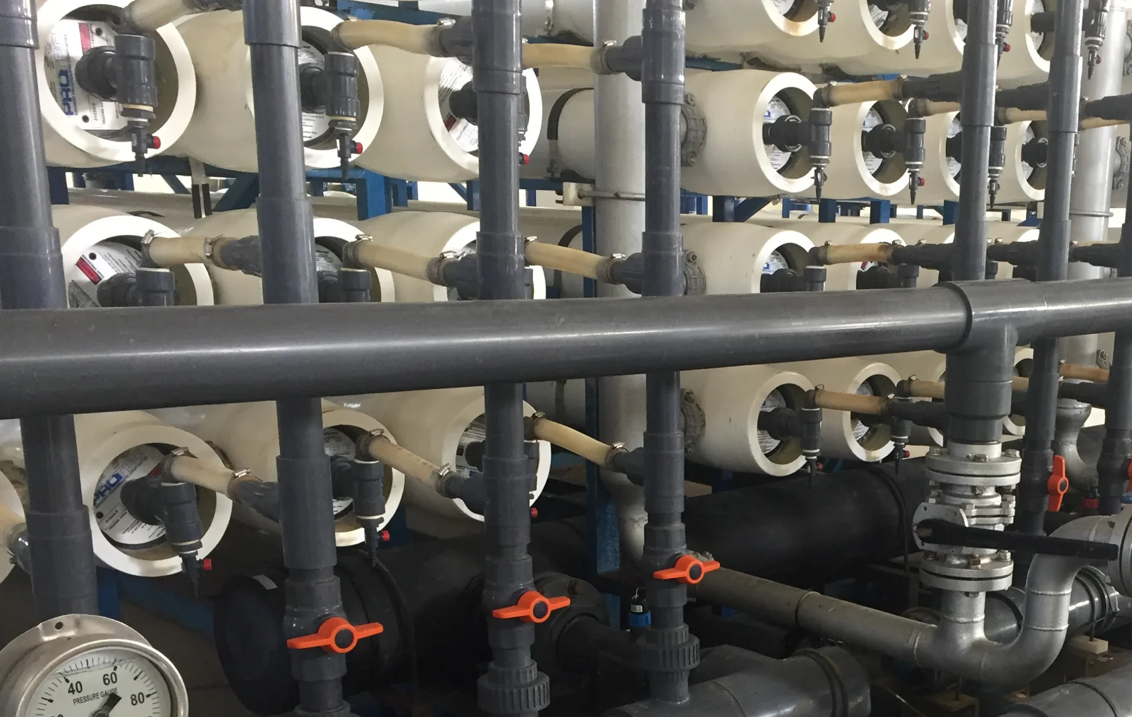 Membrane-Cropped.jpg