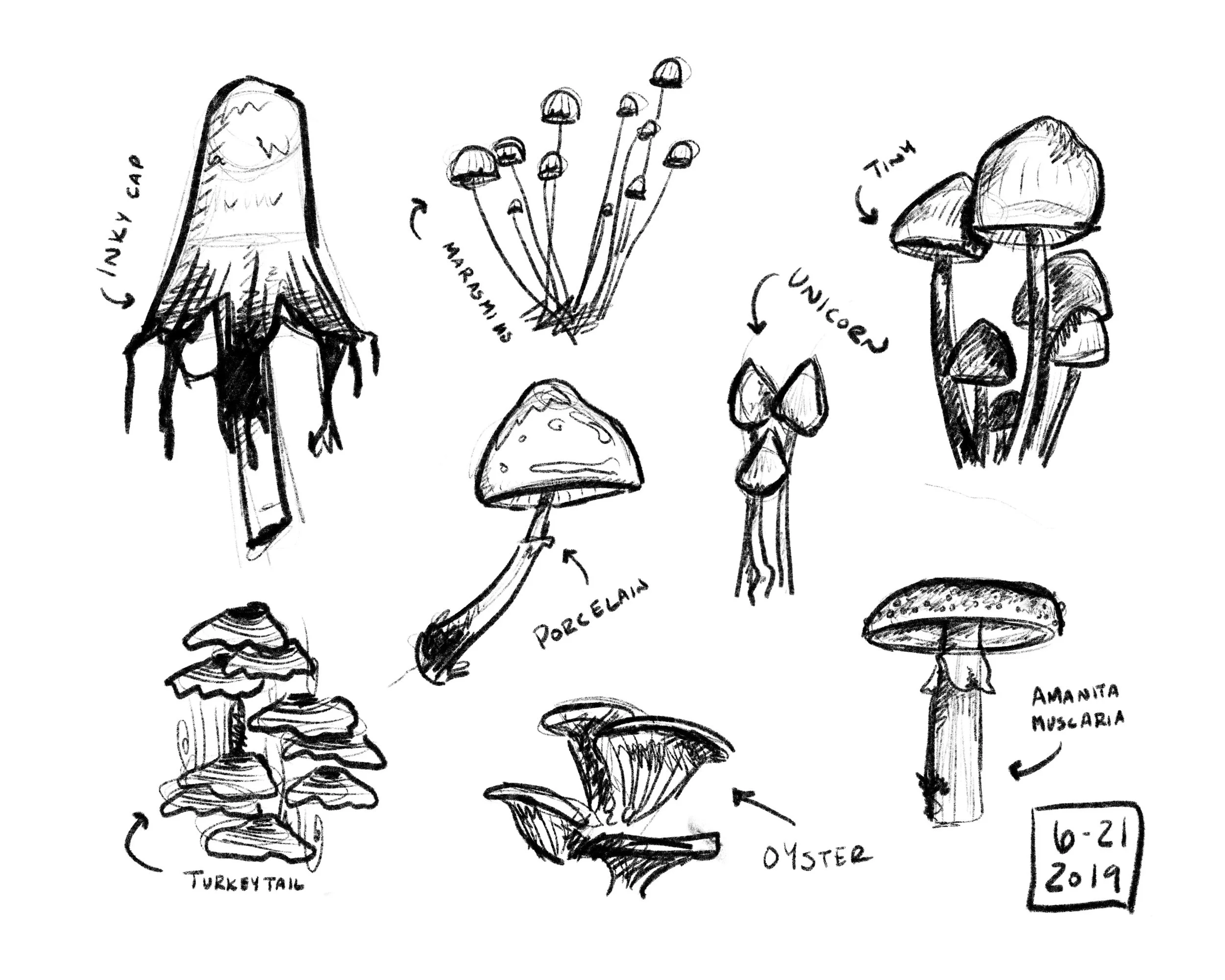 Mushroom Sketches