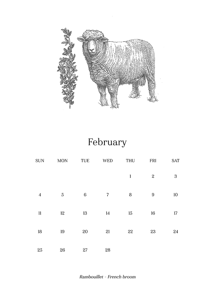 Sheep_Calendar_2018_final4_1024x1024.png