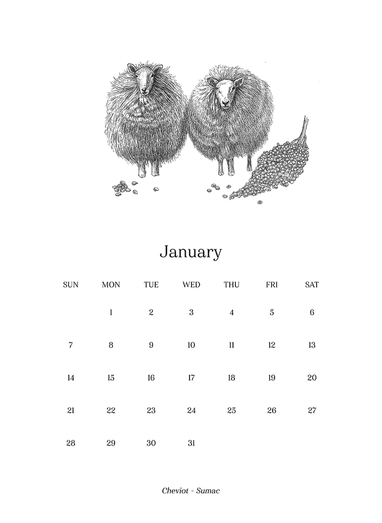 Sheep_Calendar_2018_final3_1024x1024.png