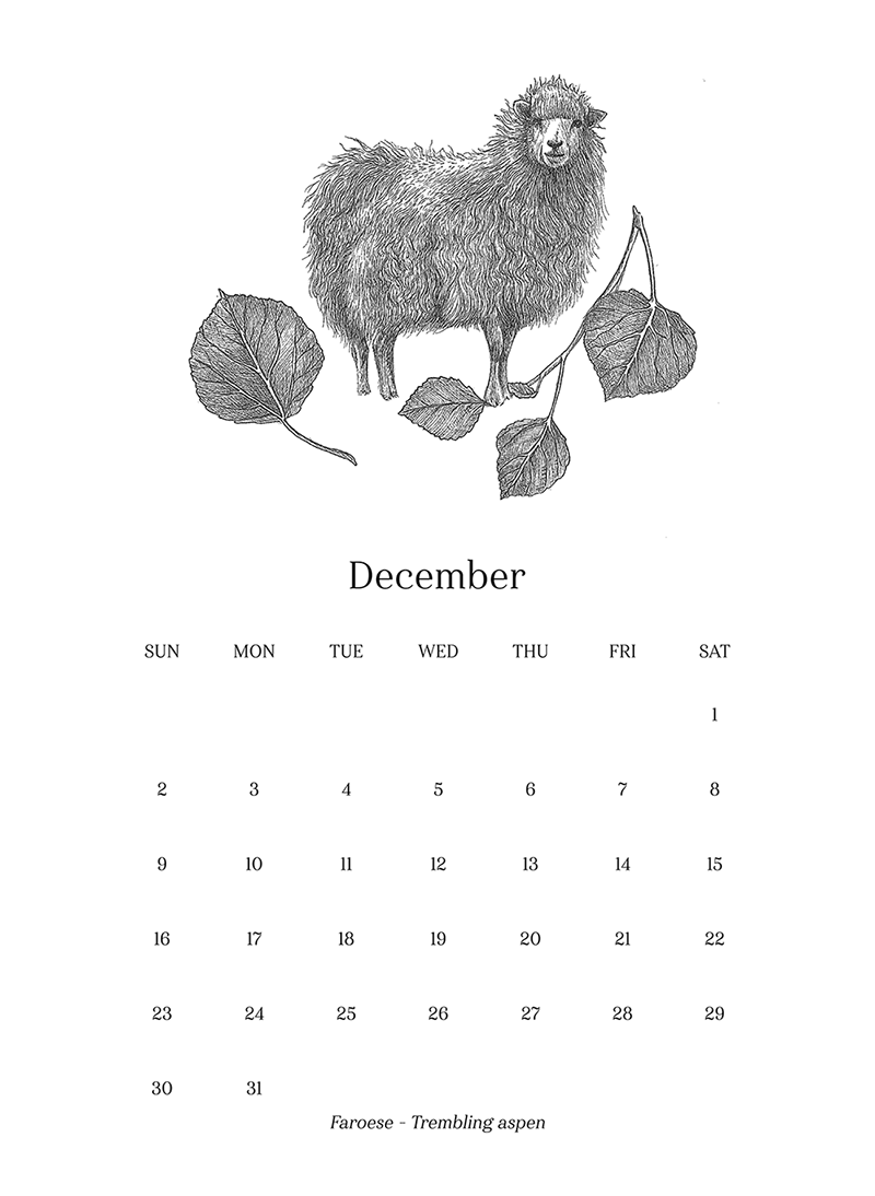Sheep_Calendar_dec.png