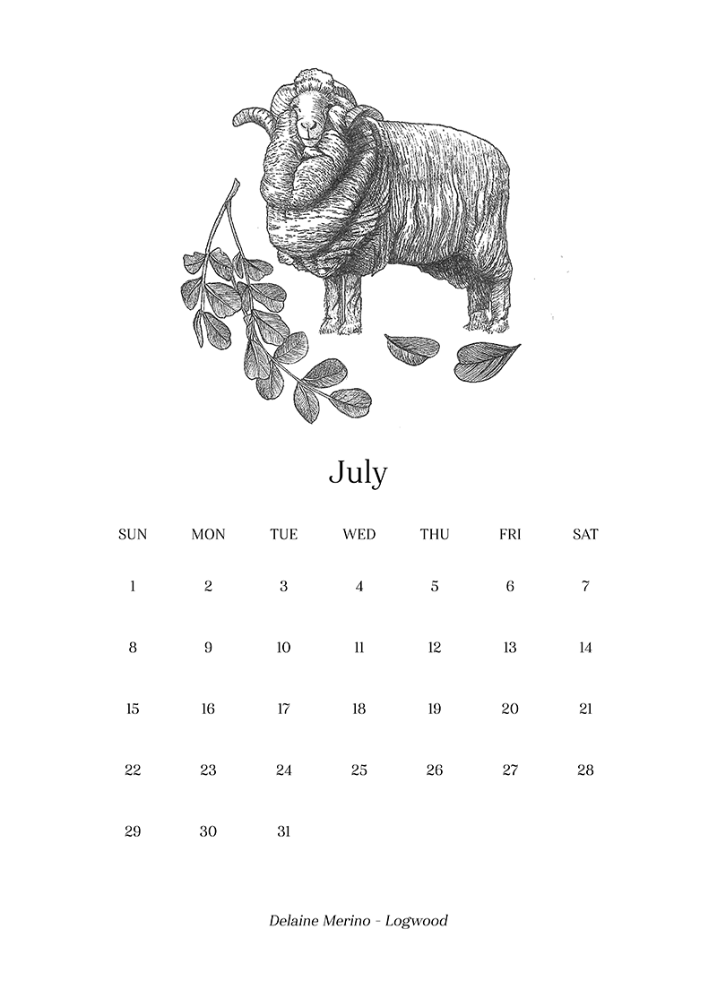 Sheep_Calendar_july.png