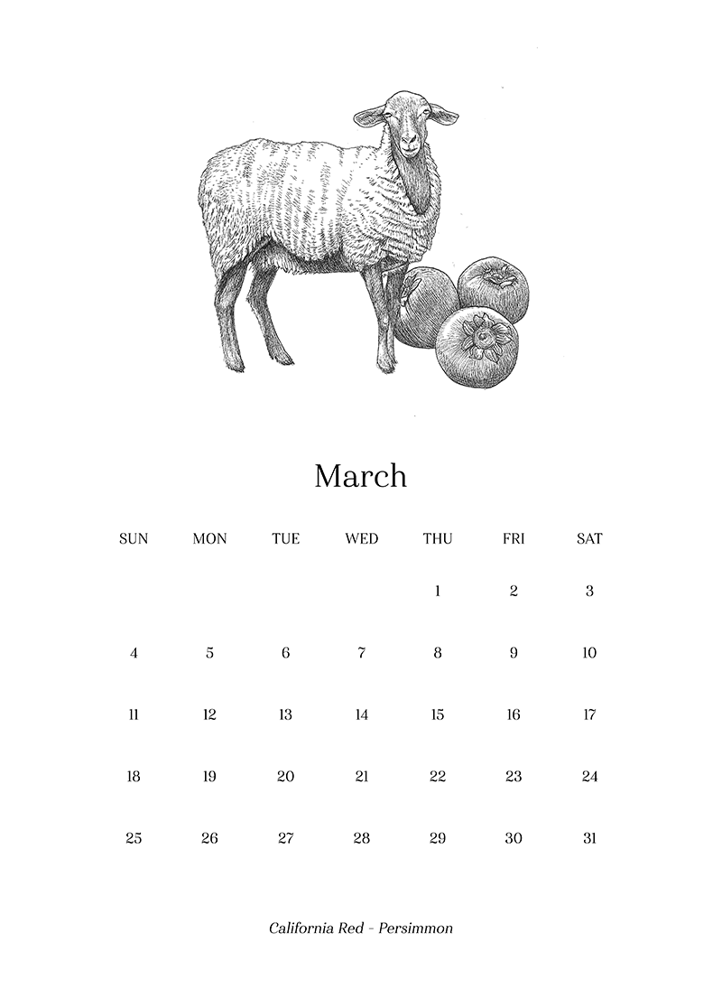 Sheep_Calendar_march.png